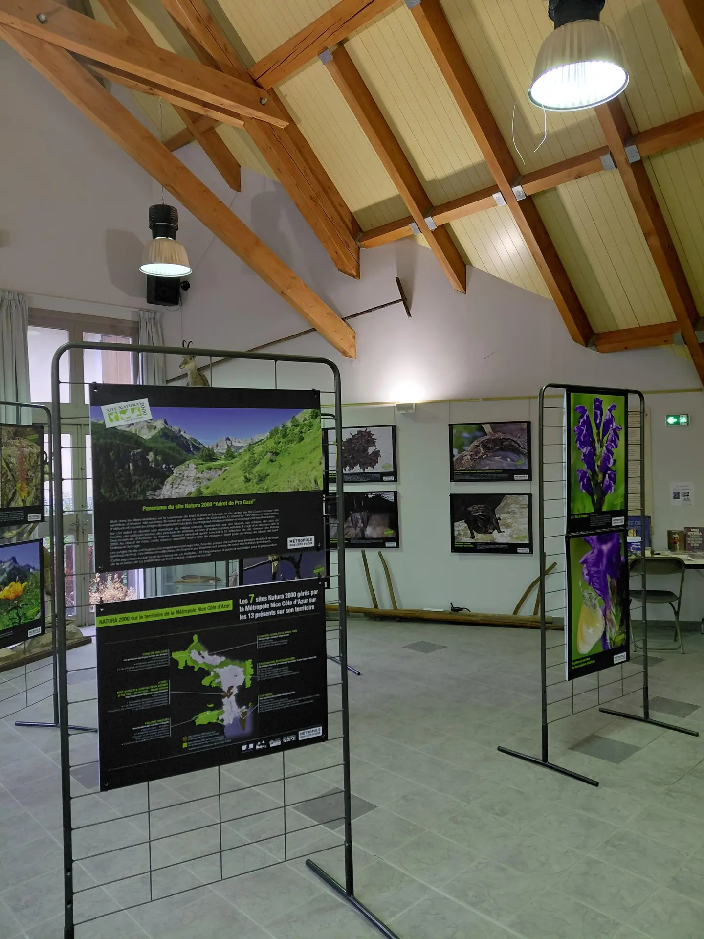 salle exposition
