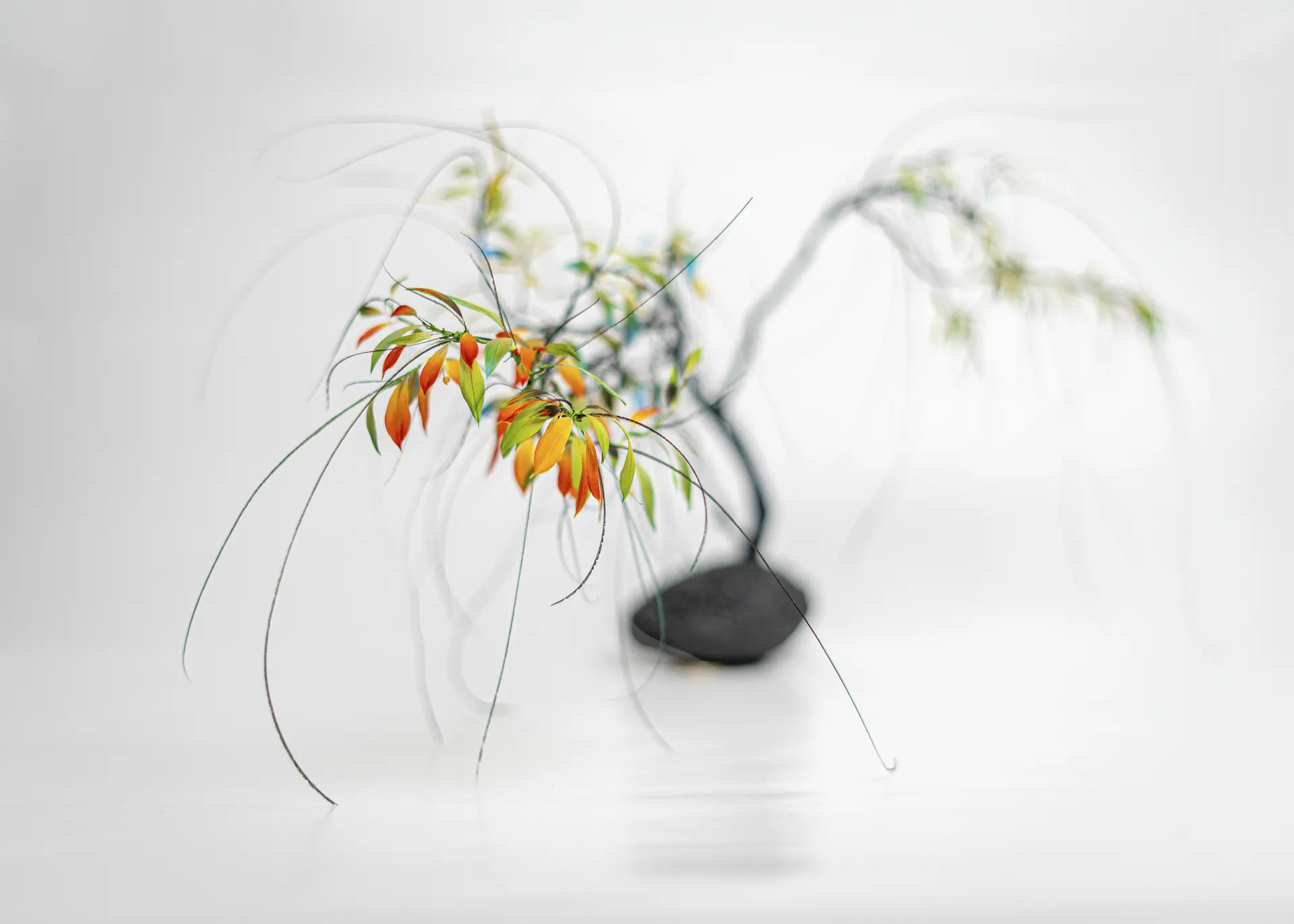 La nature transformee N°21