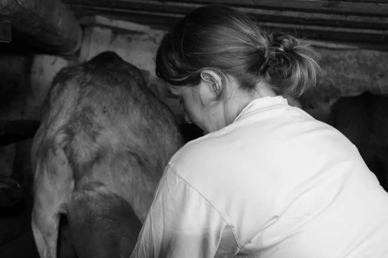 Ferme Au bonheur des fromages