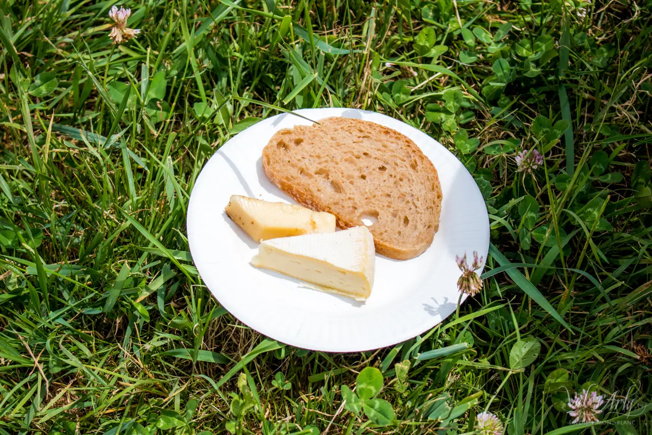 Dégustation de fromages