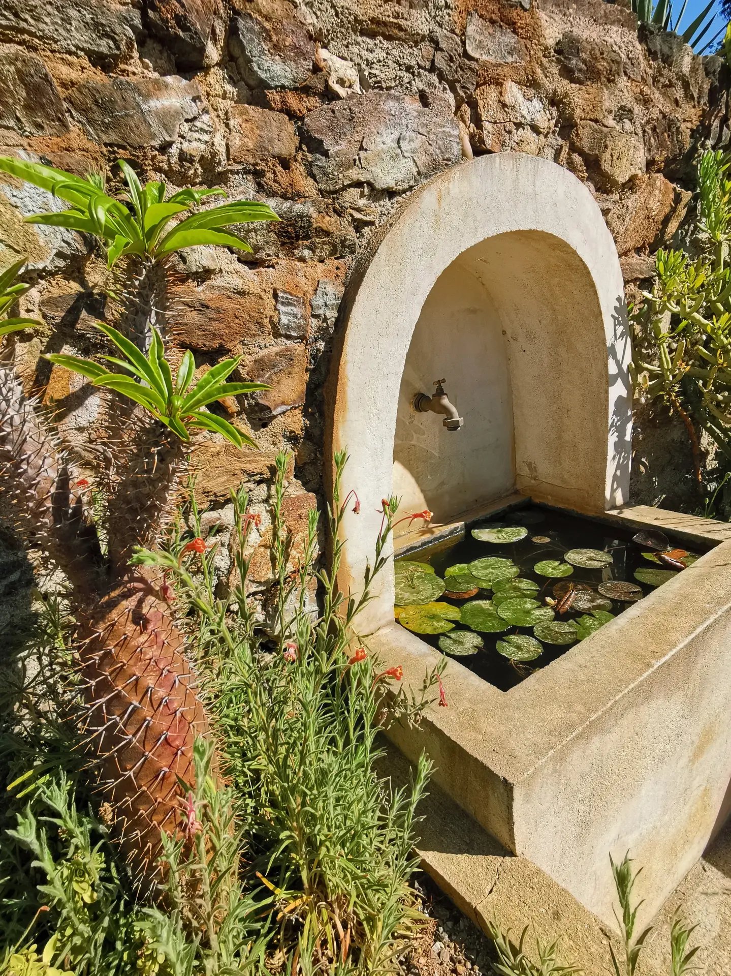 Rdv aux jardins 