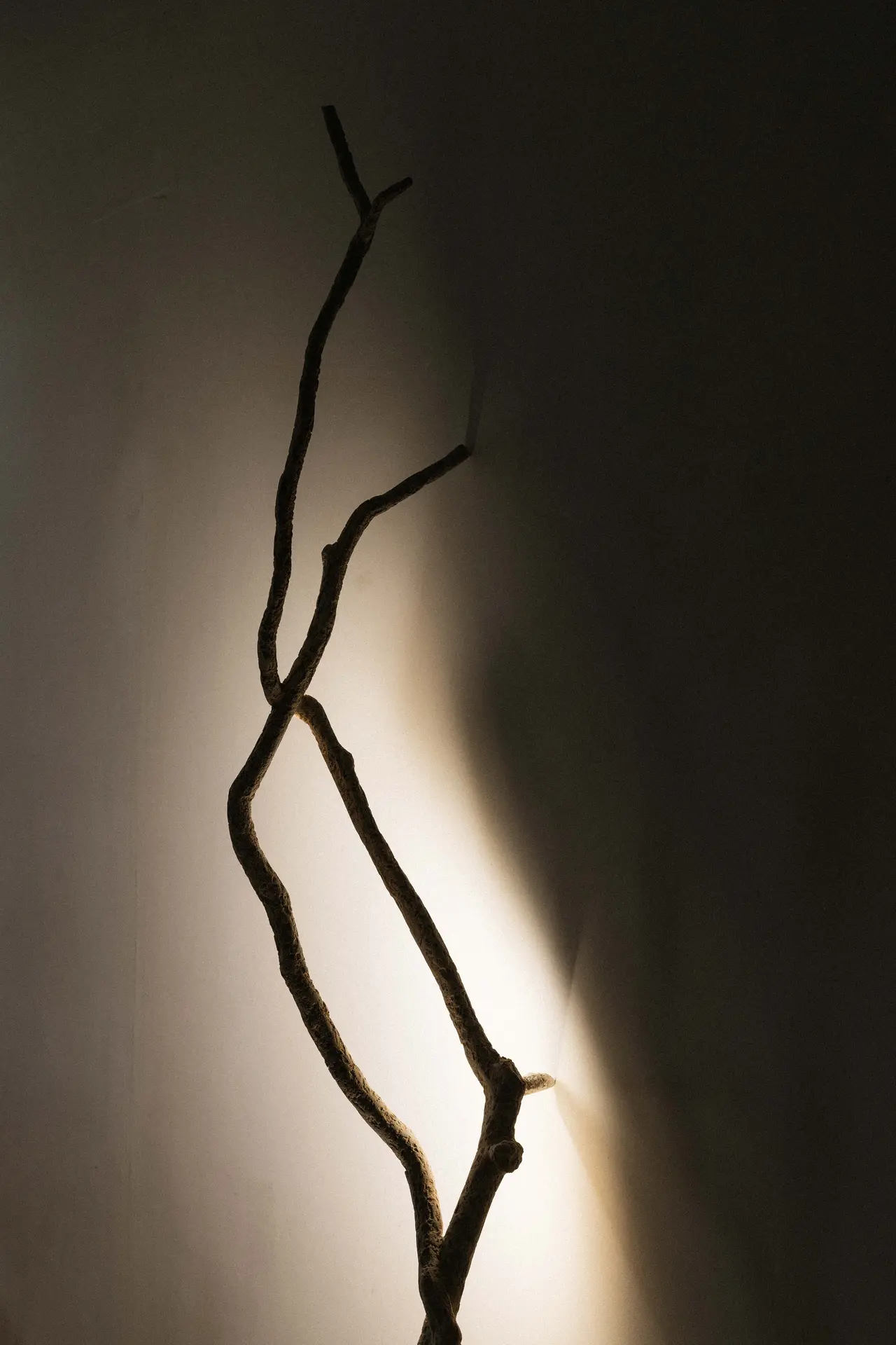 Le chêne qui pousse dans la carrière _ Lampe sur pied _ Maxime Bellaunay _ 2024