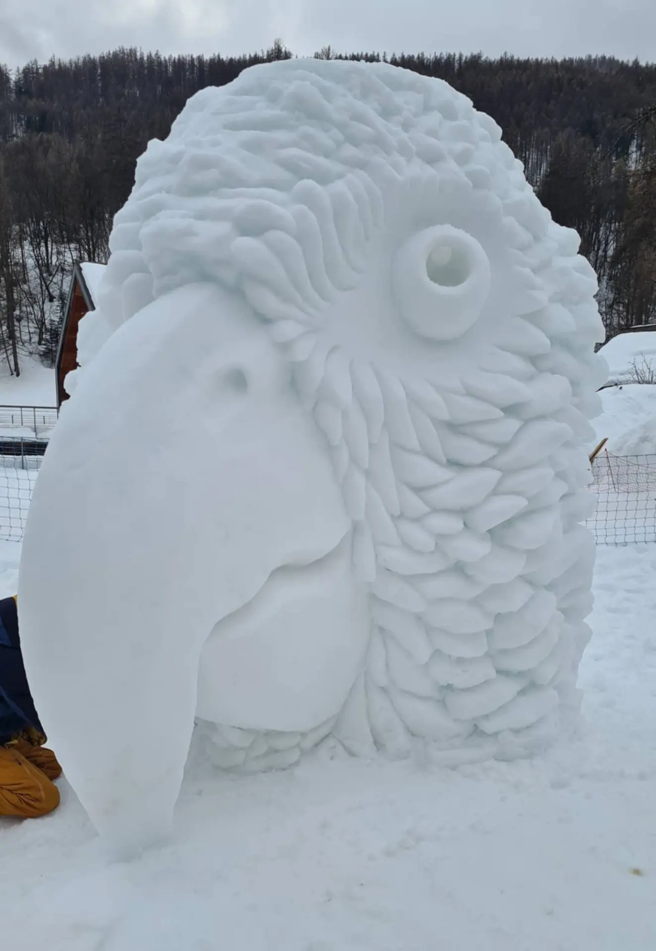 Les création glacées