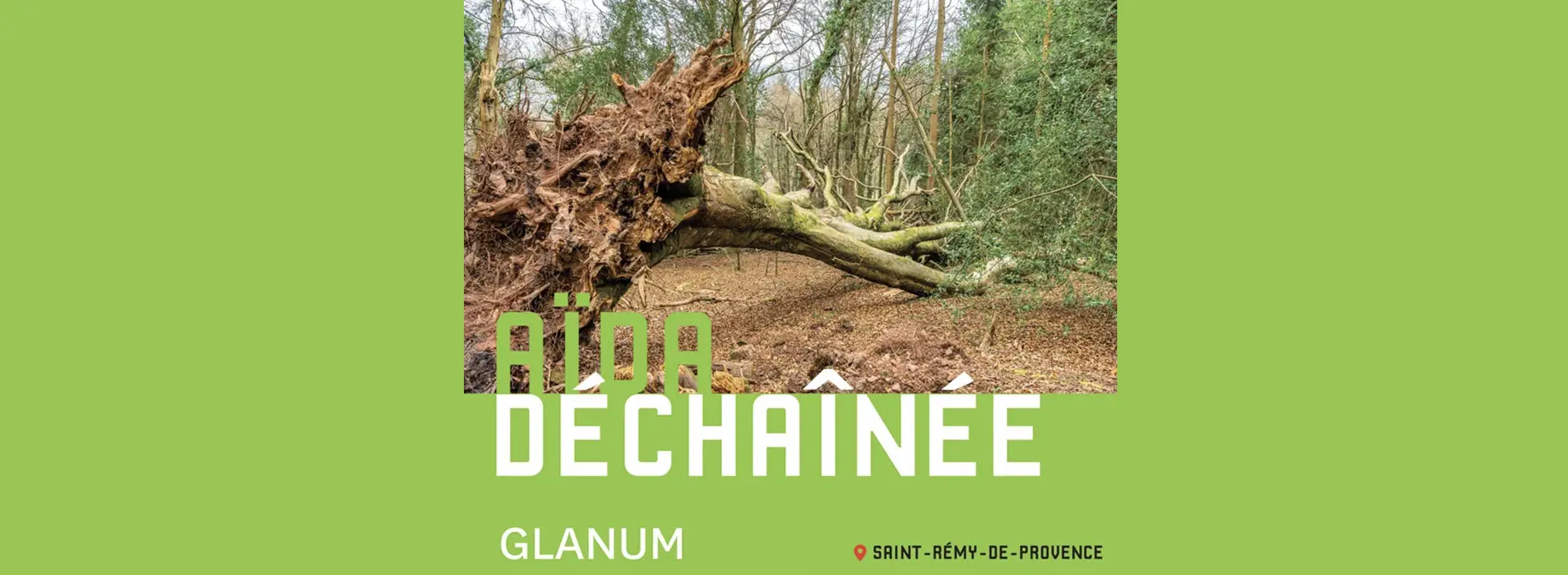 Opéra : Aïda déchainée à Glanum