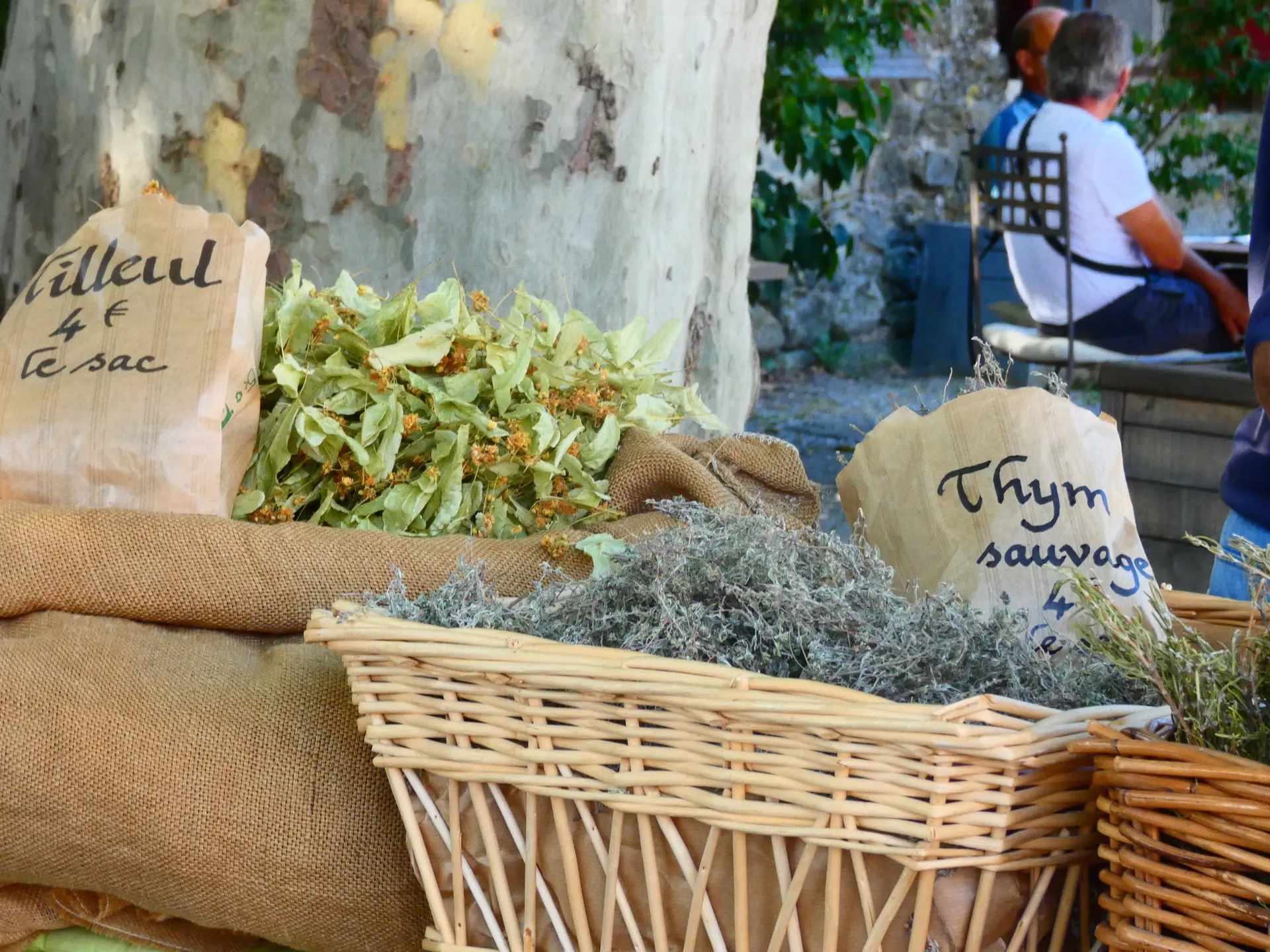 Plantes aromatiques sur le marché