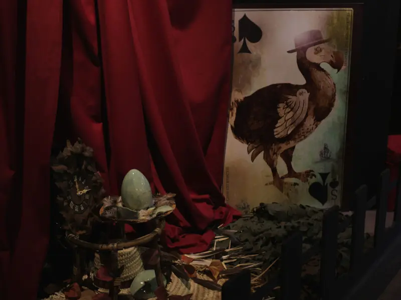 Ville de Marseille - Patrick Rodriguez