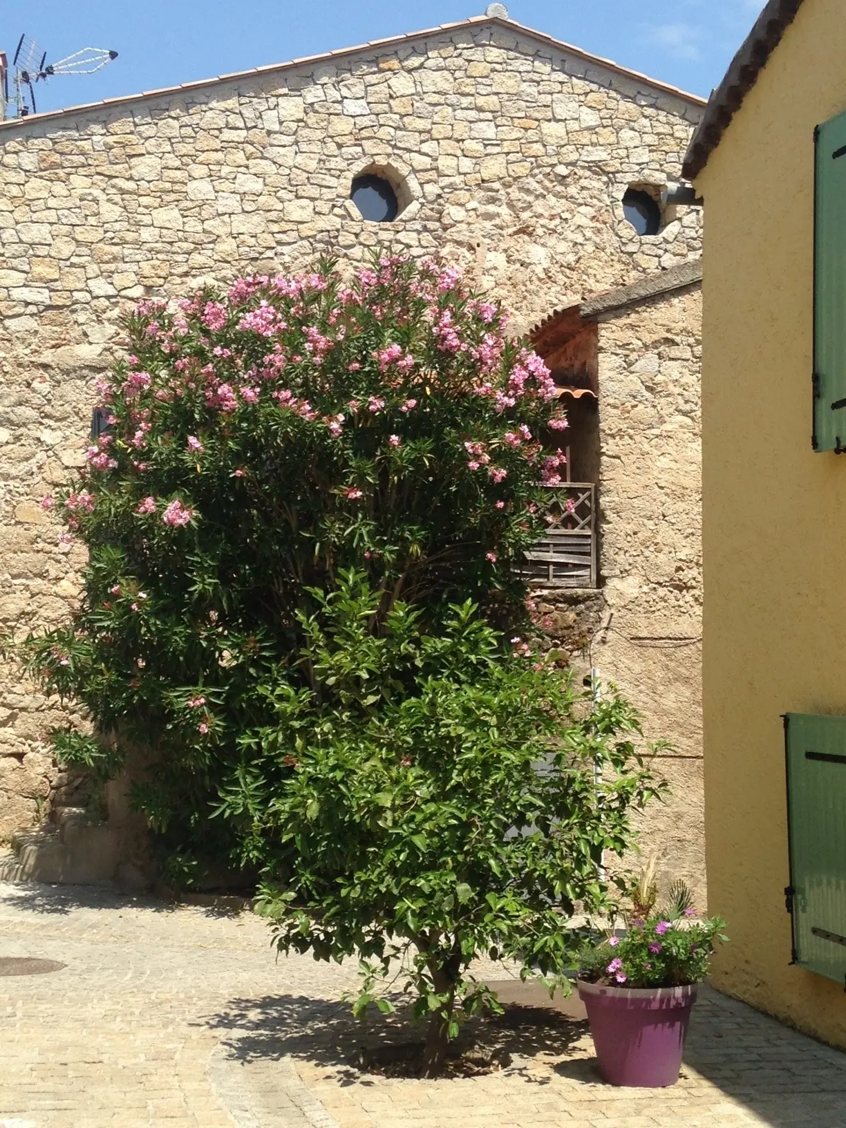 Village