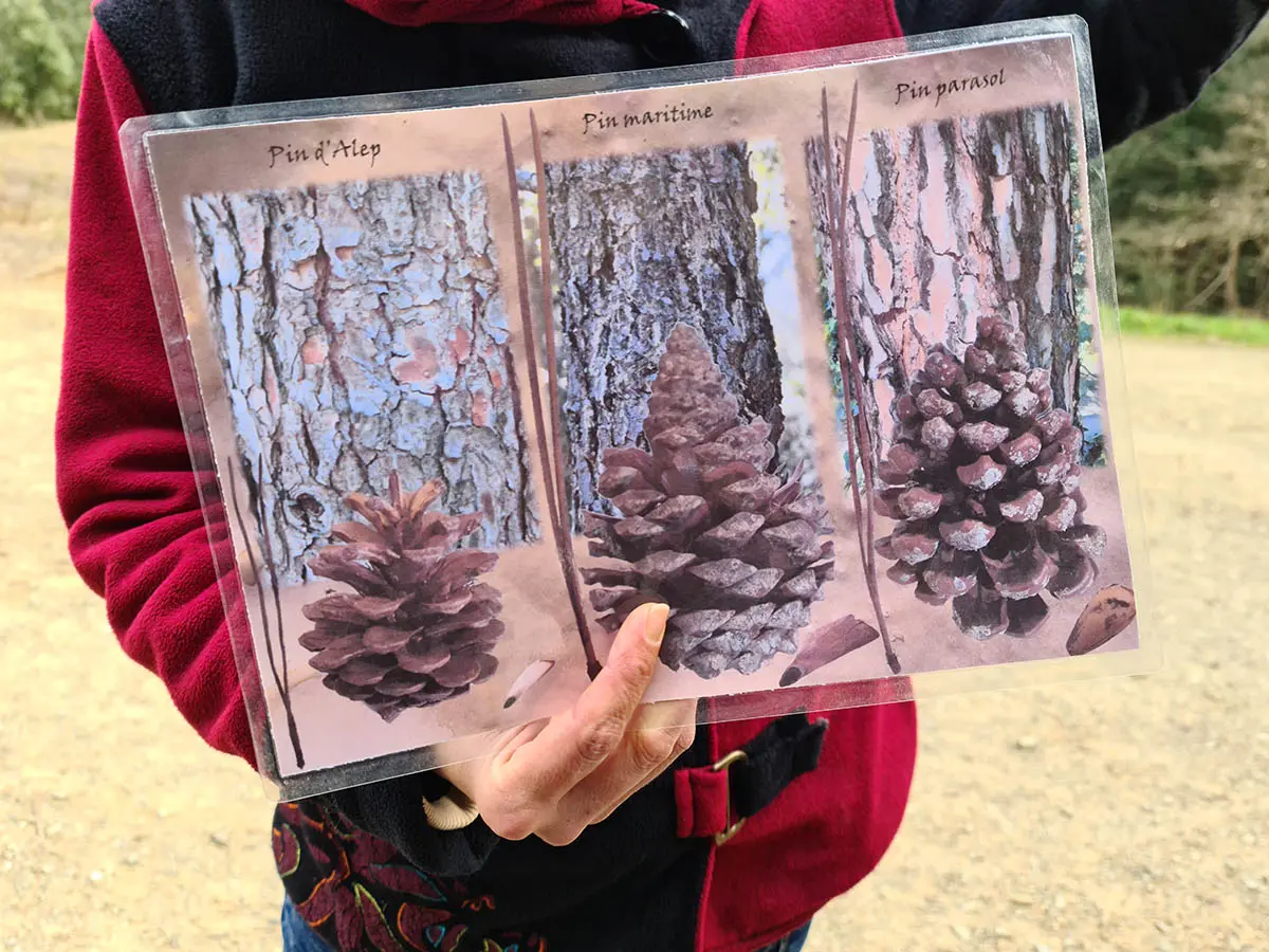Visite ludique et scientifique avec Sorciences