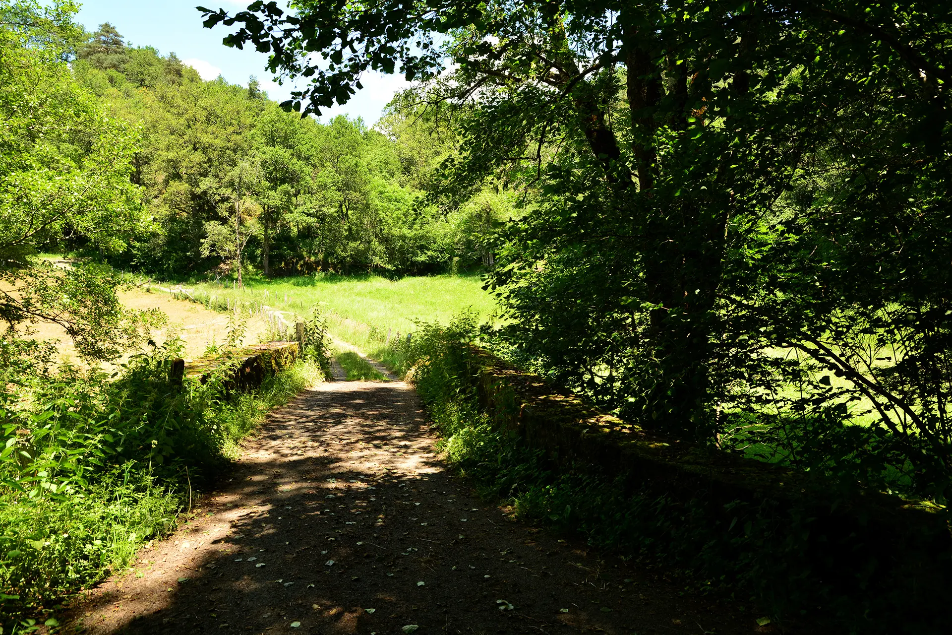 Chemin