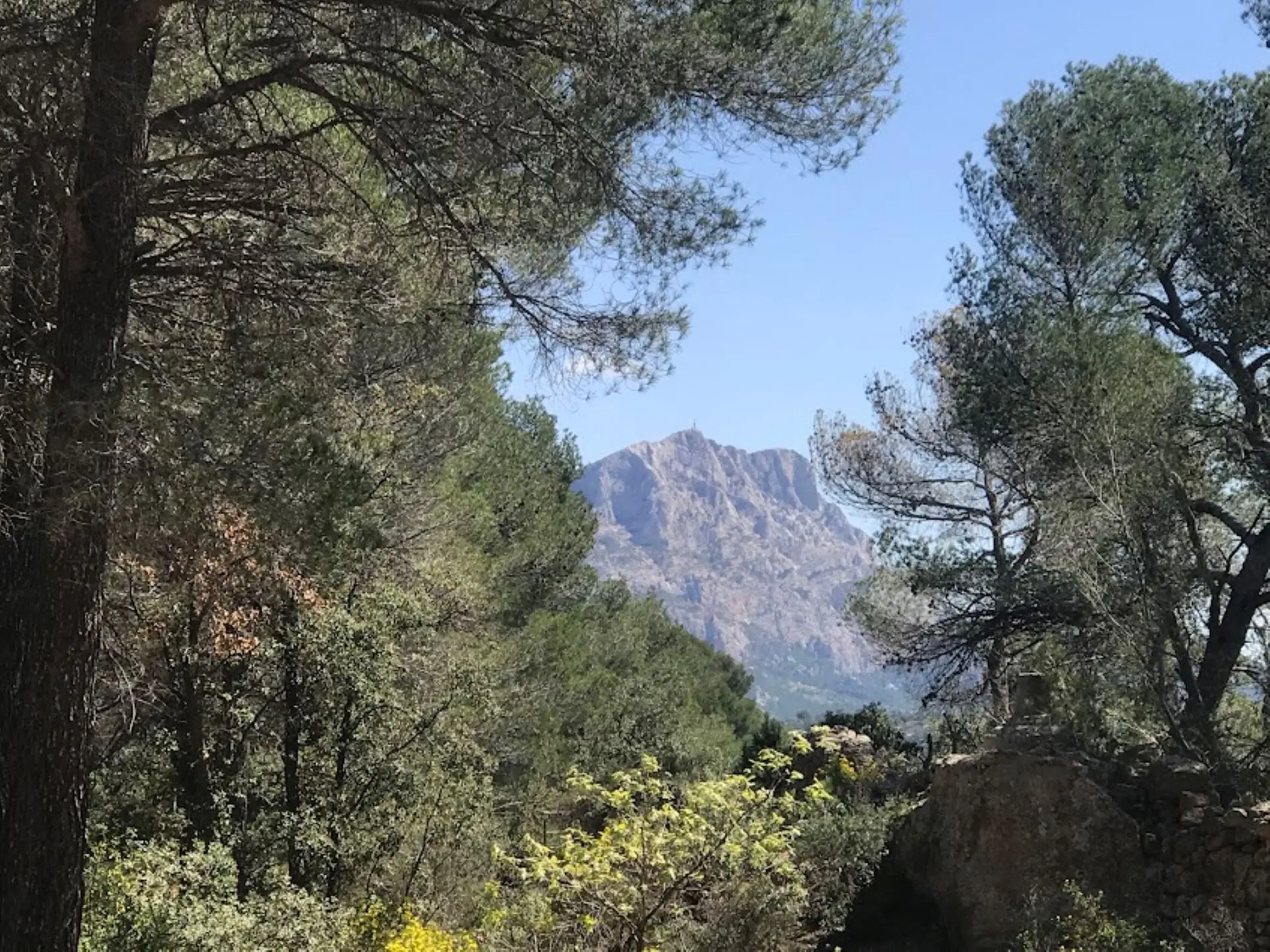 Sainte victoire bleue