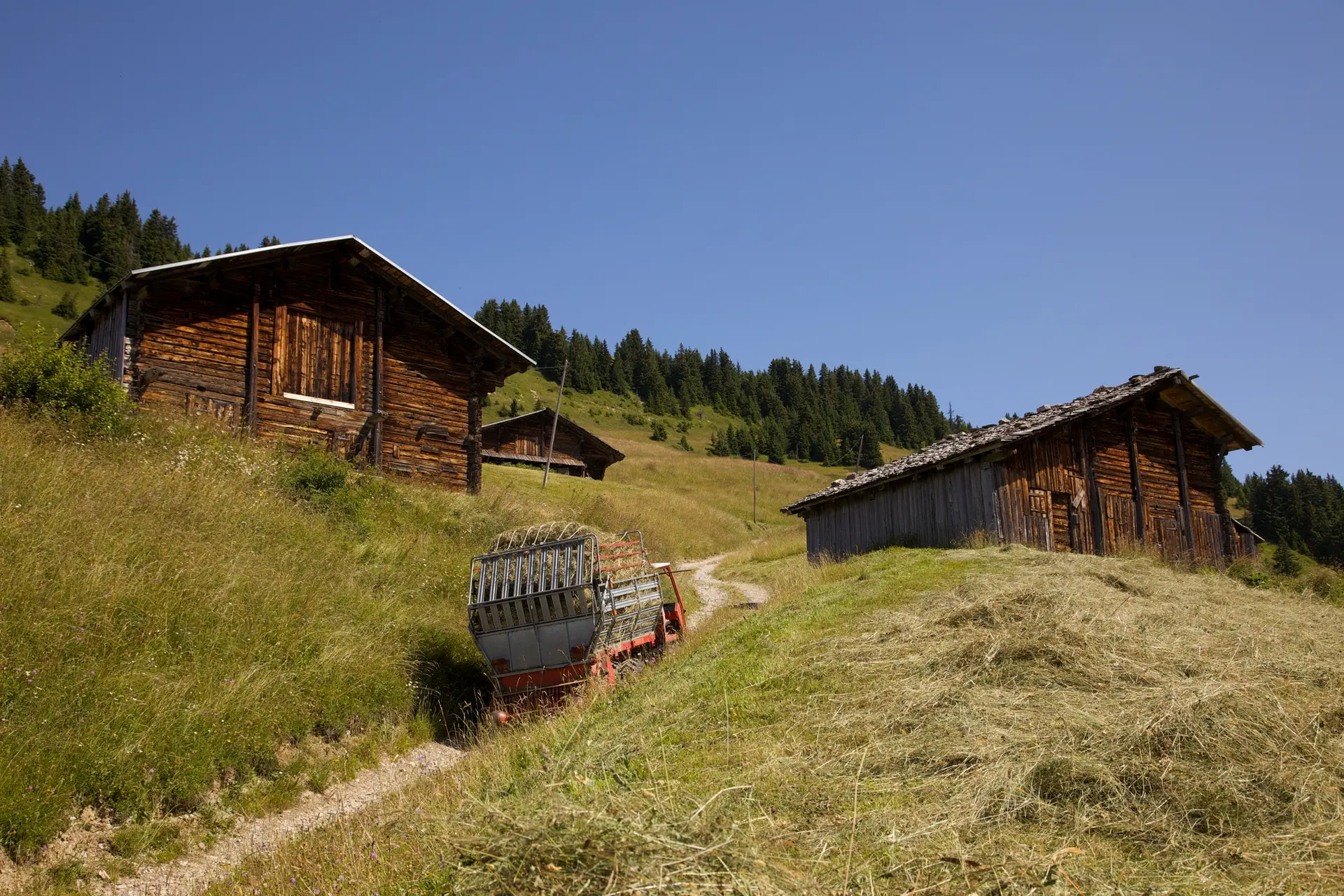 Le hameau des Pachons