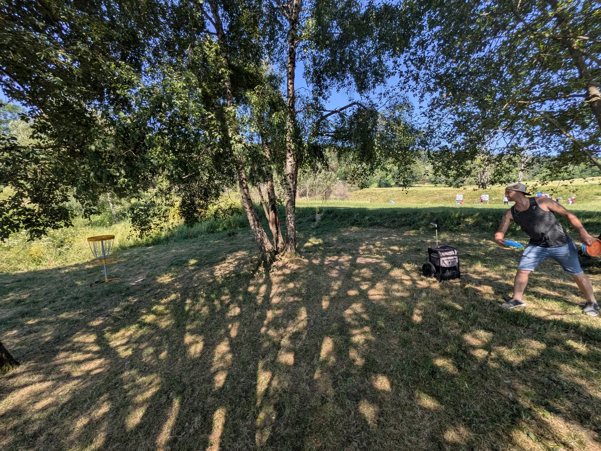 Disc golf