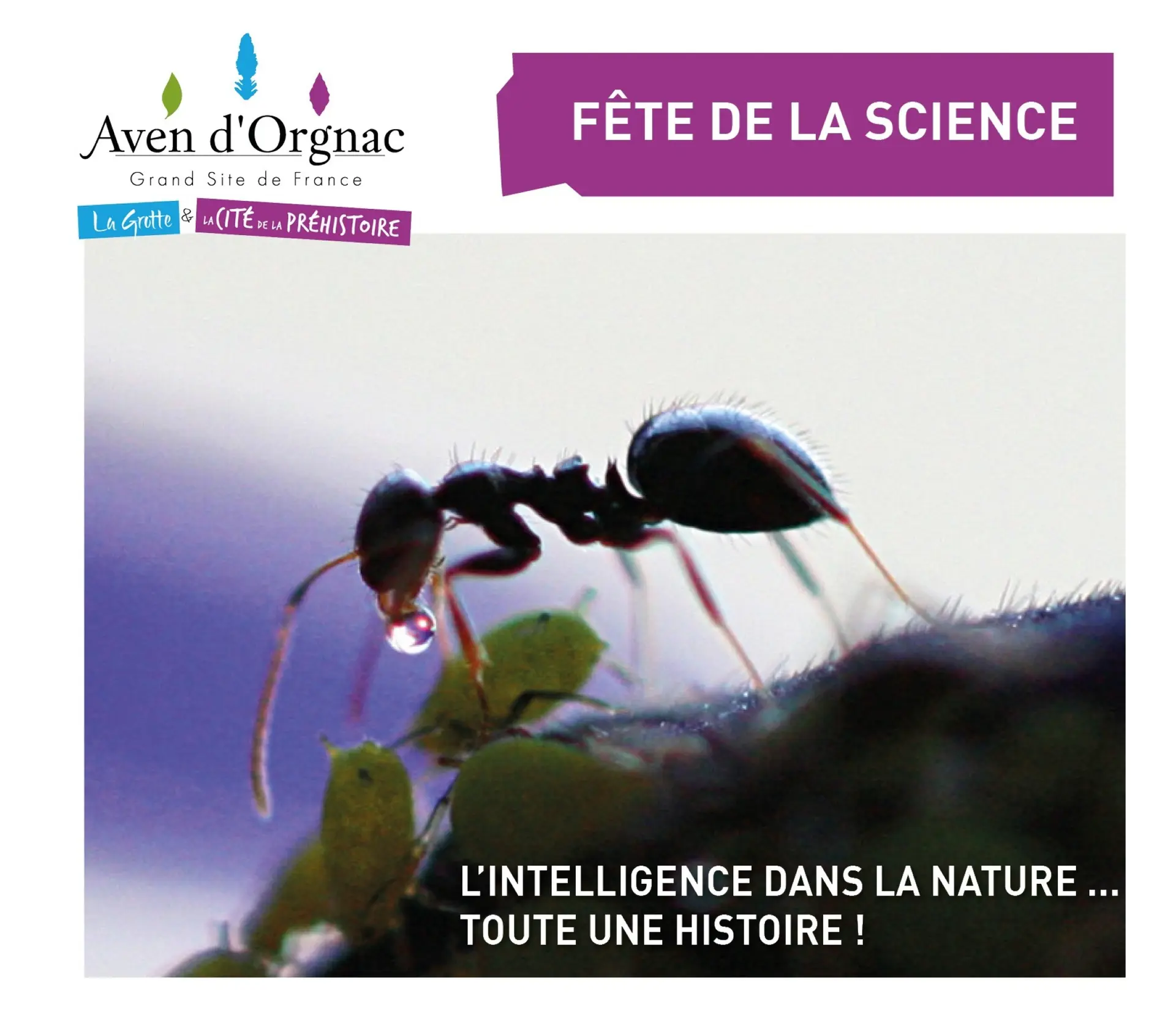 atelier sous-bois aven d'orgnac