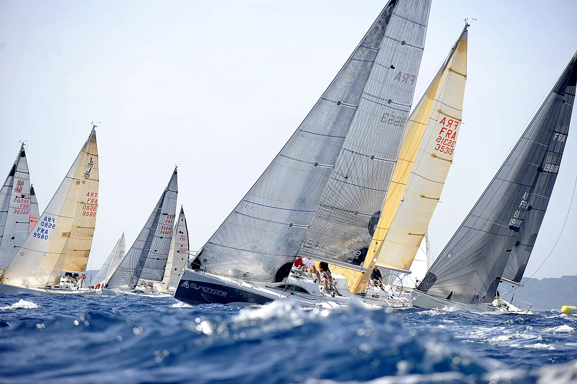 Régate - Voile - Compétition sportive