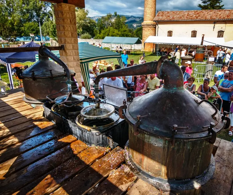 Distillation de la lavande