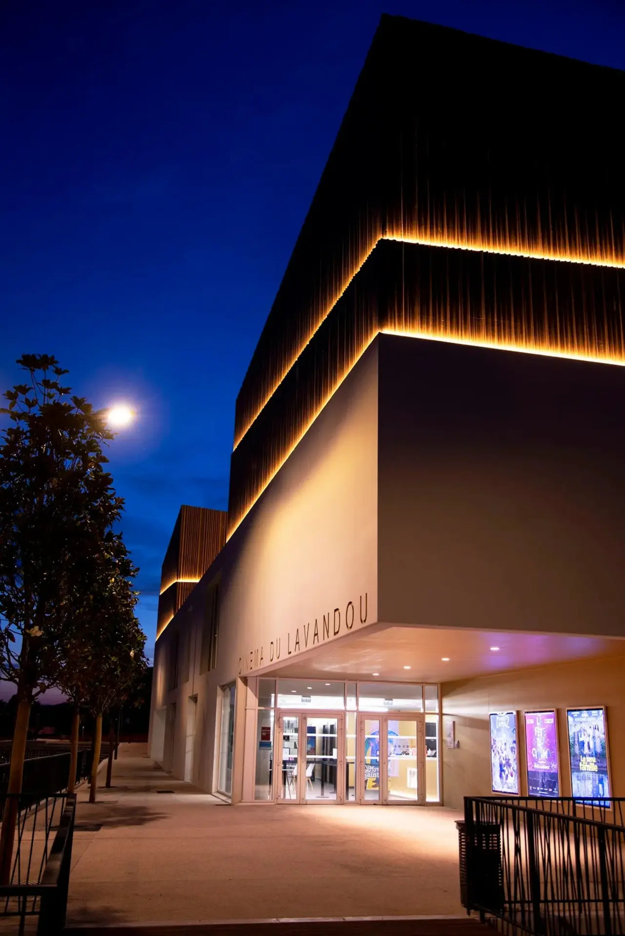 Cinéma Le Grand Bleu
