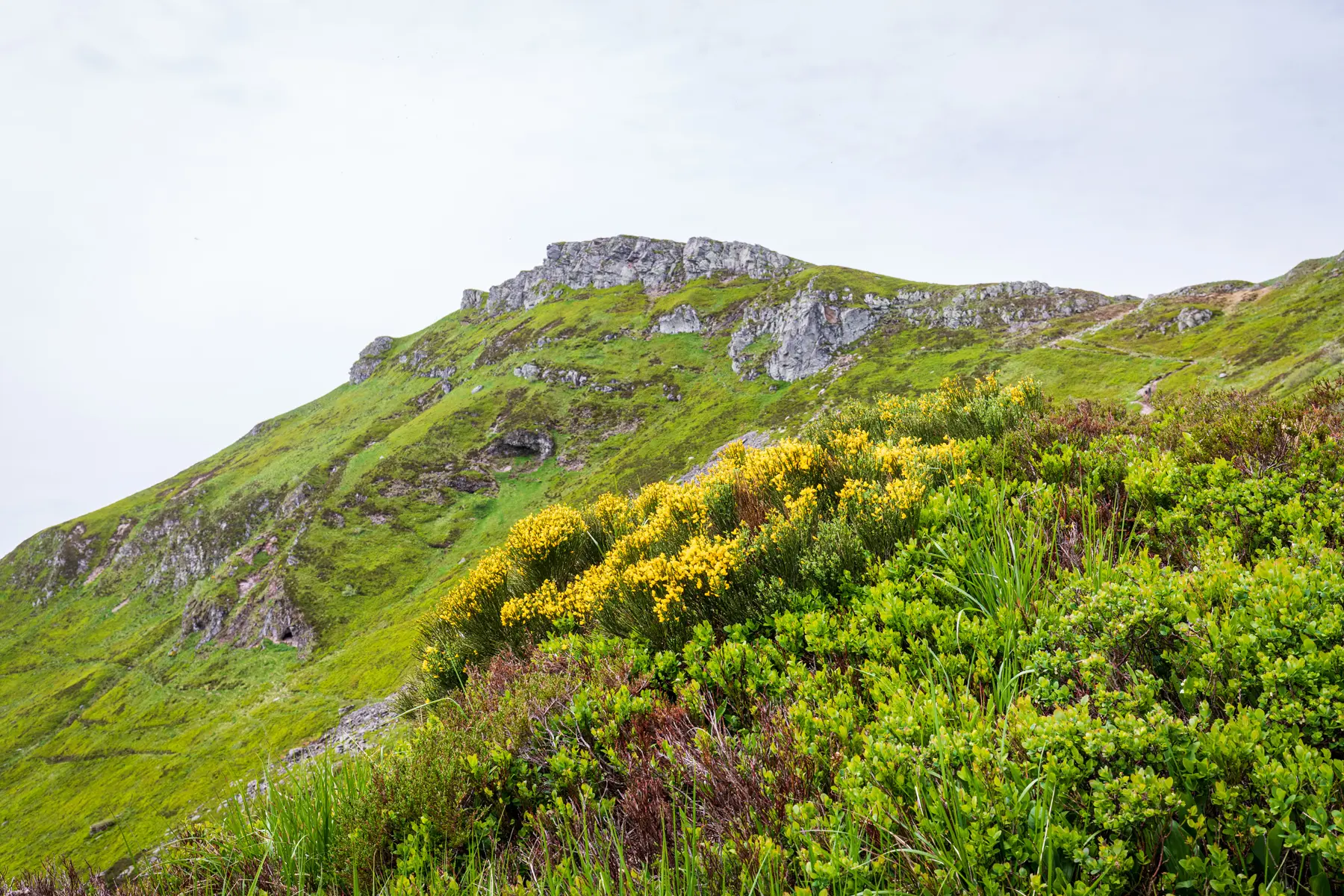 Les Monts du Cantal