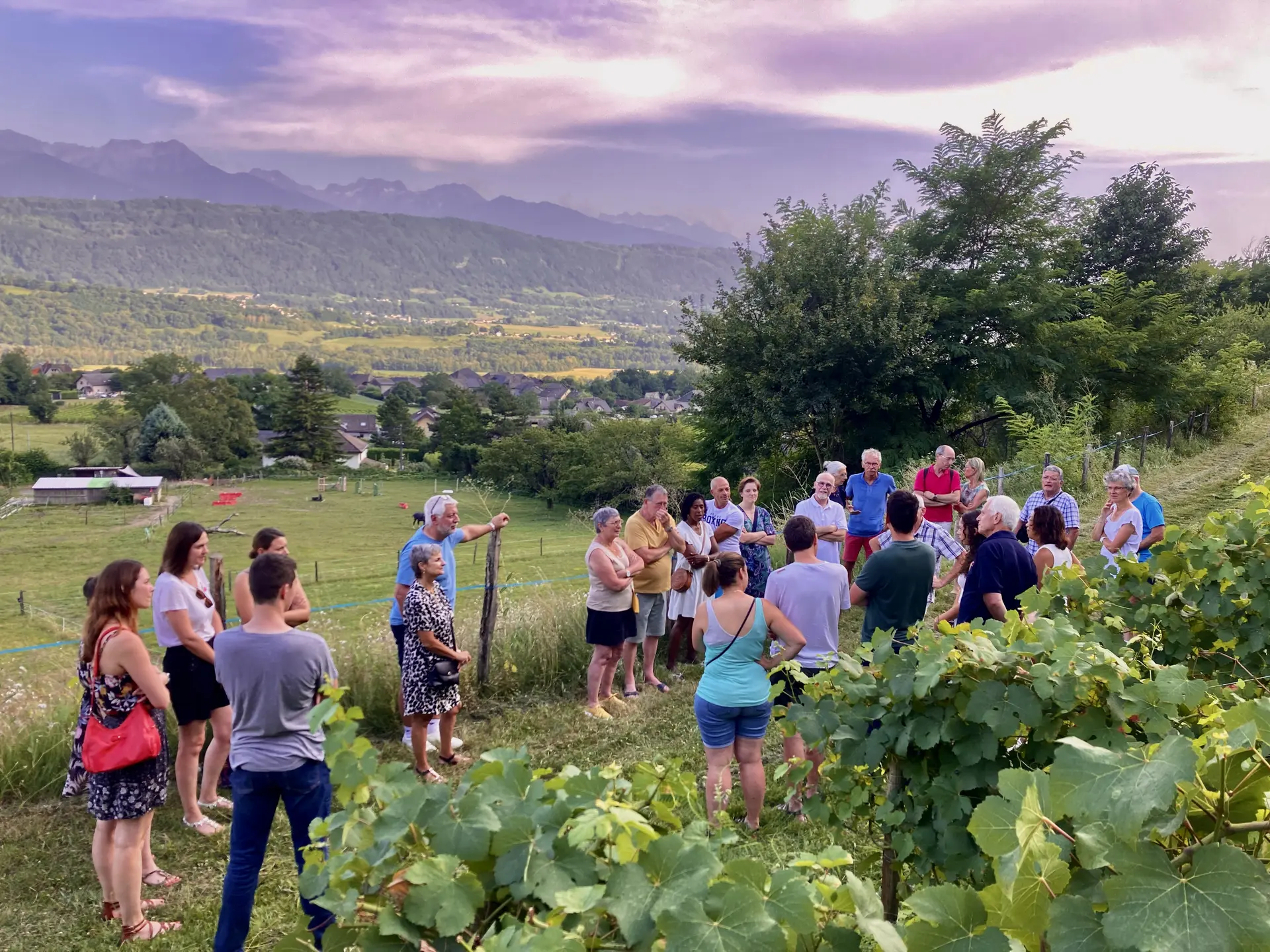 Apéro'vignes