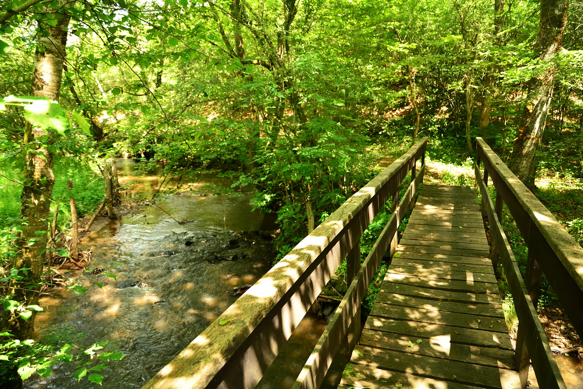 Pont