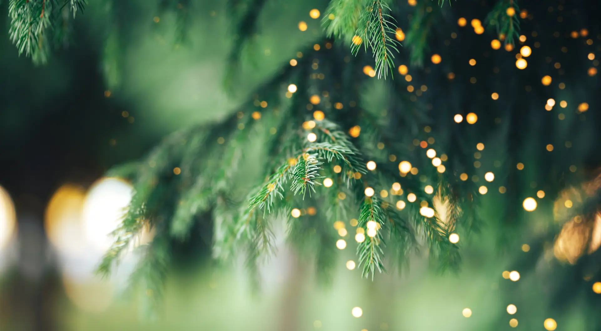 La veillée de noël : les traditions sacrées et gourmandes du Noël Provençal._Sainte-Maxime