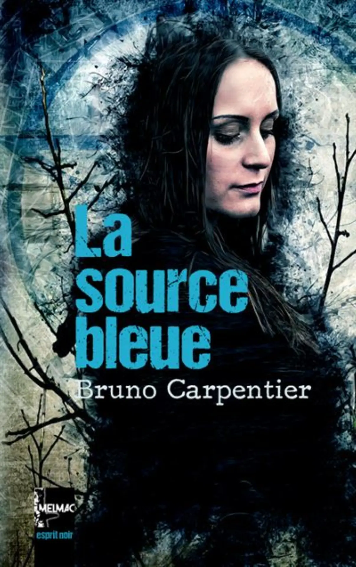 Bruno Carpentier - La source bleue