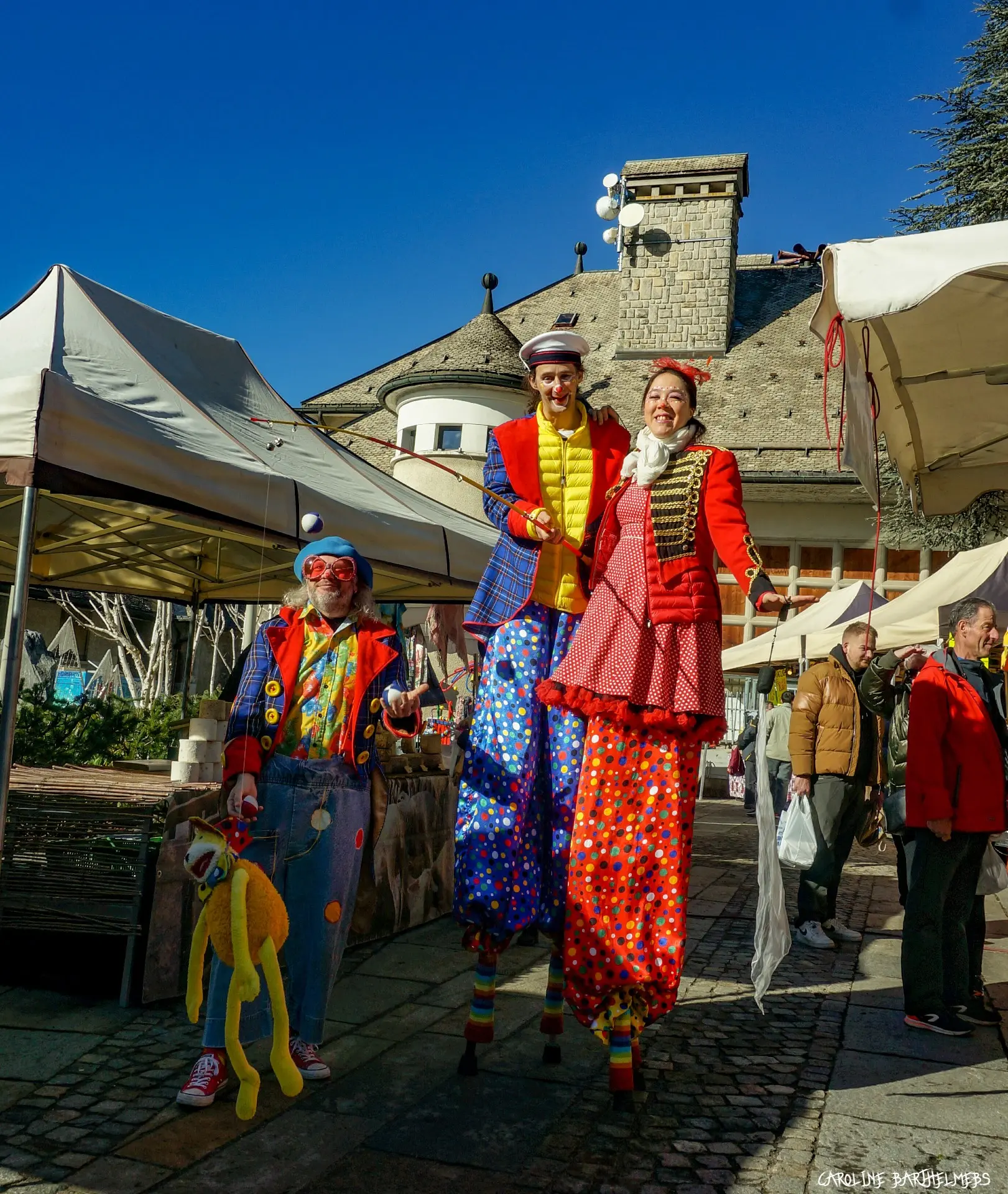 Semaine du cirque avec la Cie Art Flex