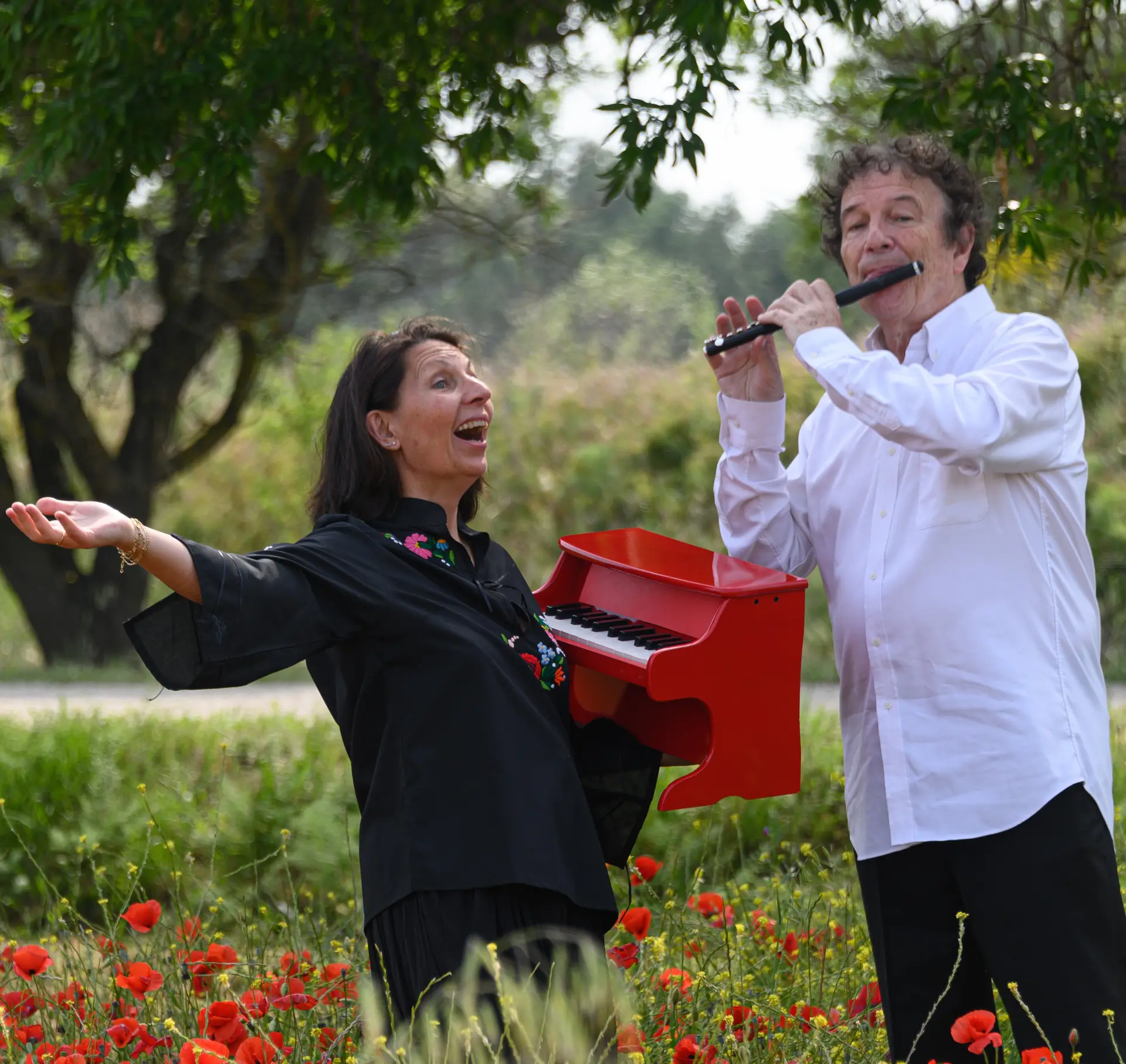 Concert piano et piccolo