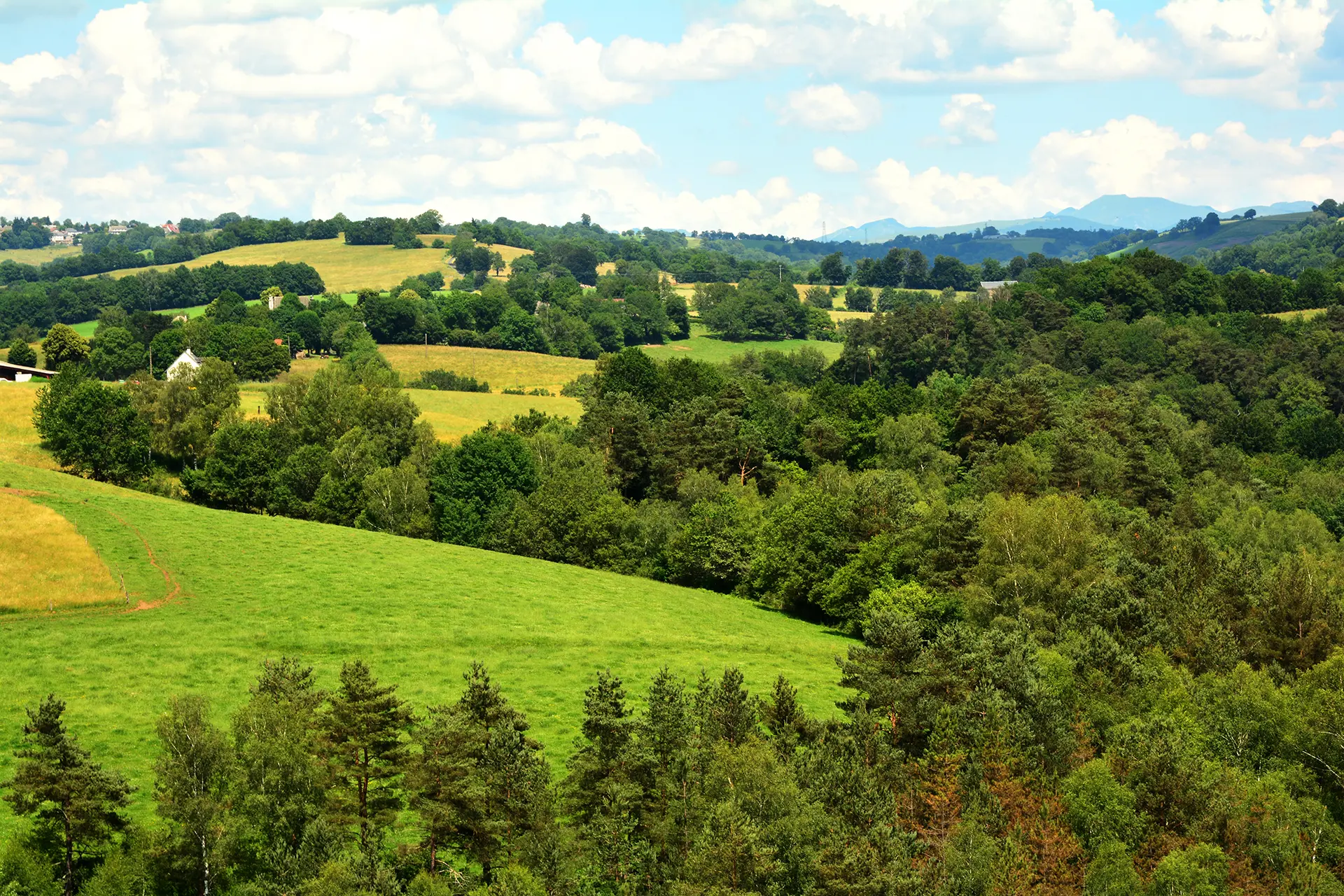 Point de vue