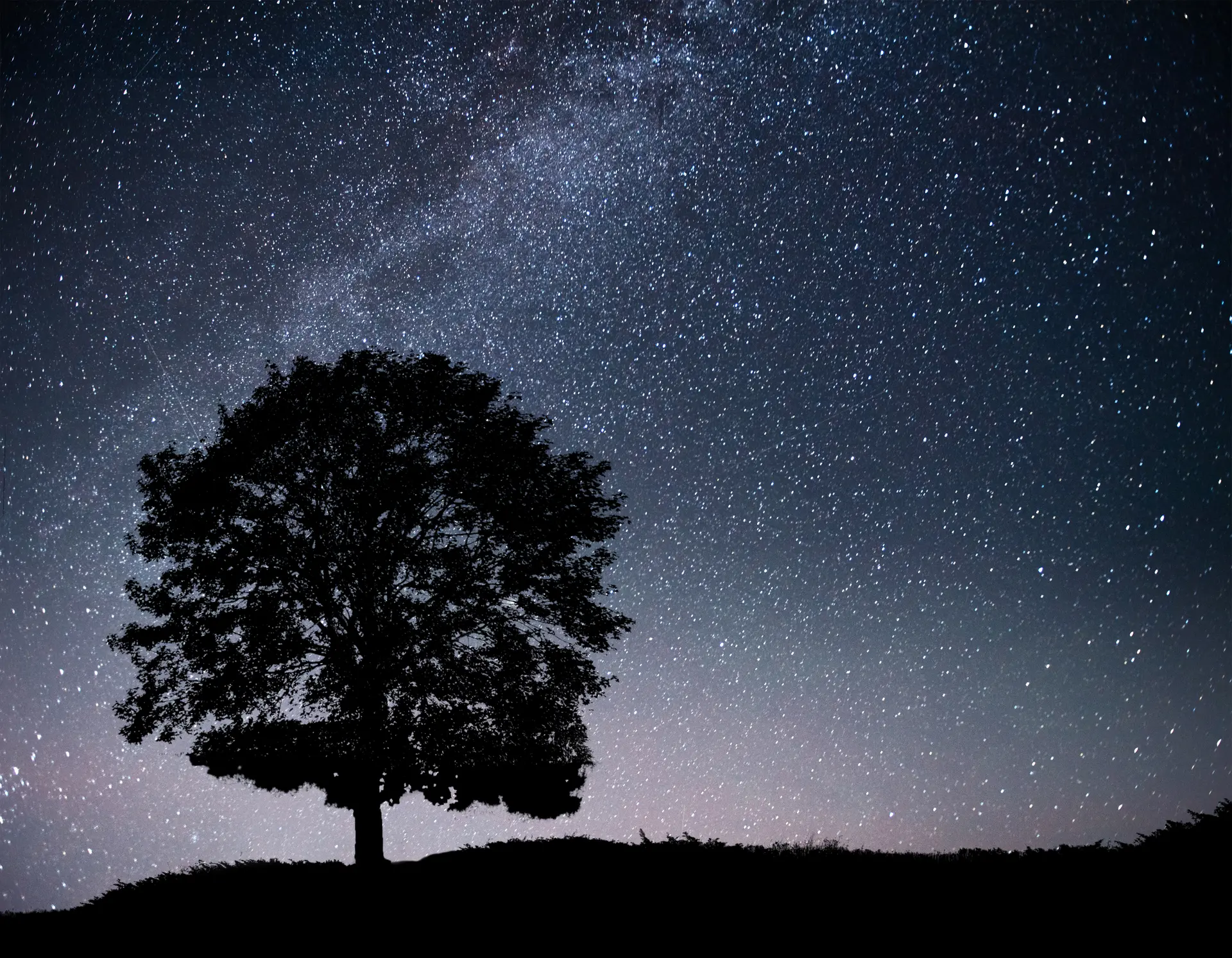 landscape-with-night-starry-sky-silhouette-tree-hill-milky-way-with-lonely-tree-falling-stars