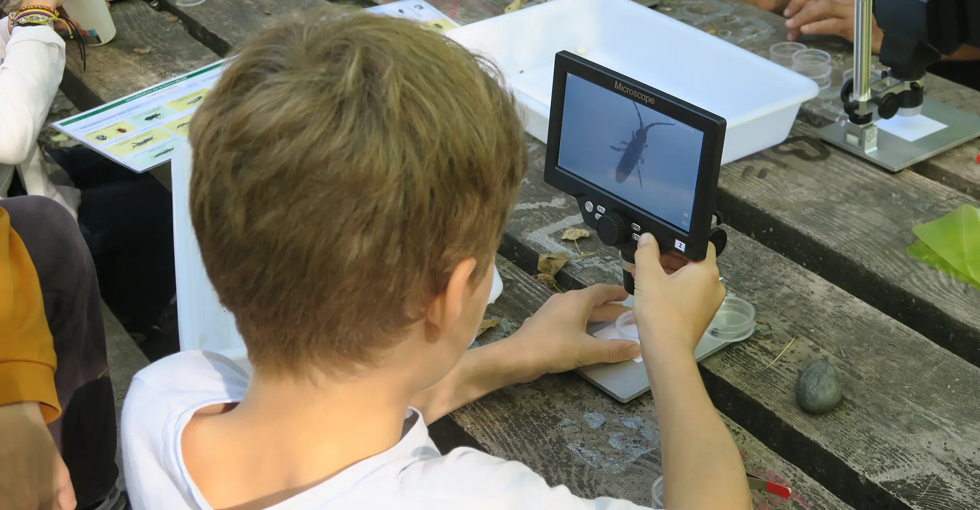 Un enfant entrain d'obersver un insecte au microscope