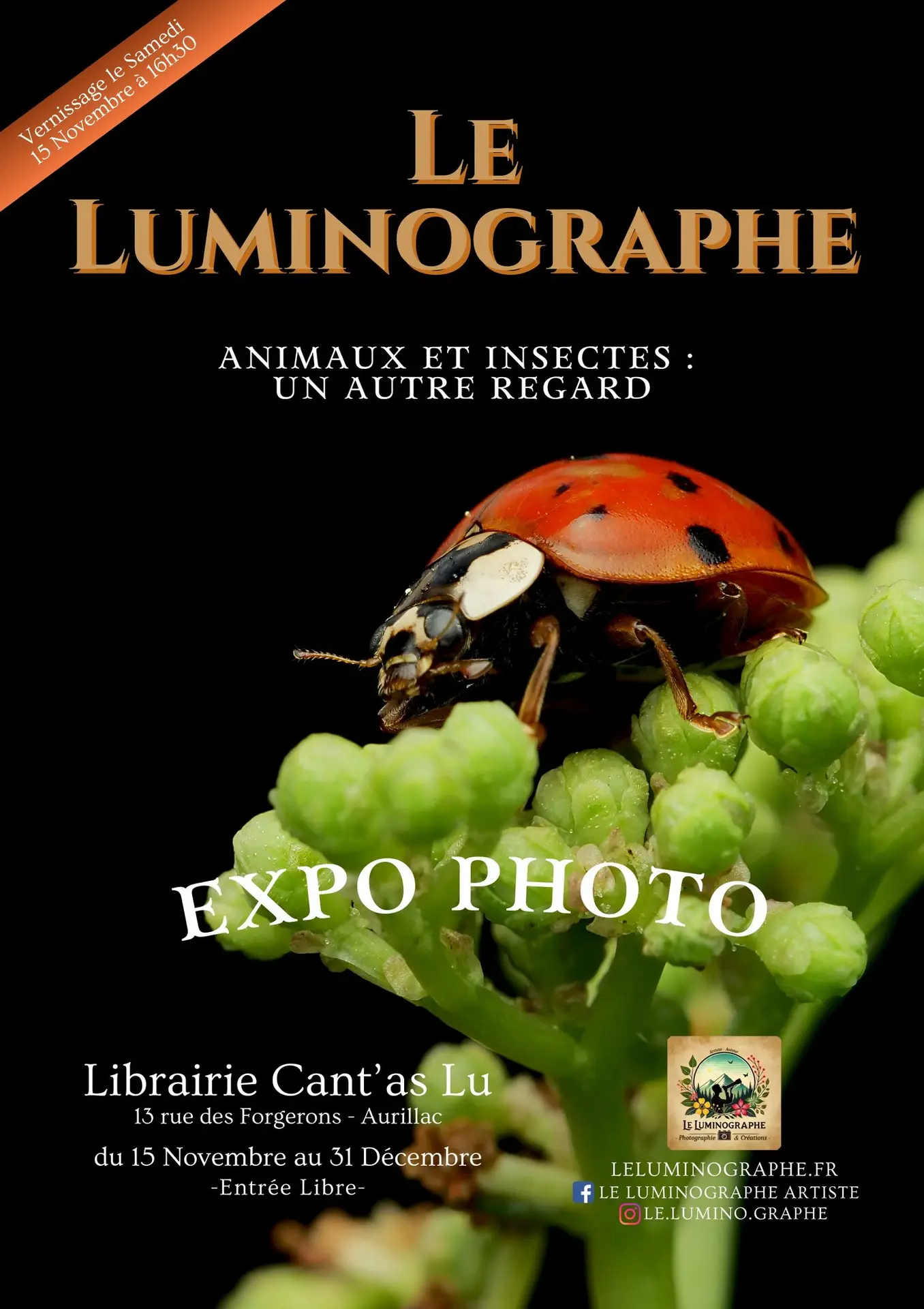 Exposition : Le Luminographe