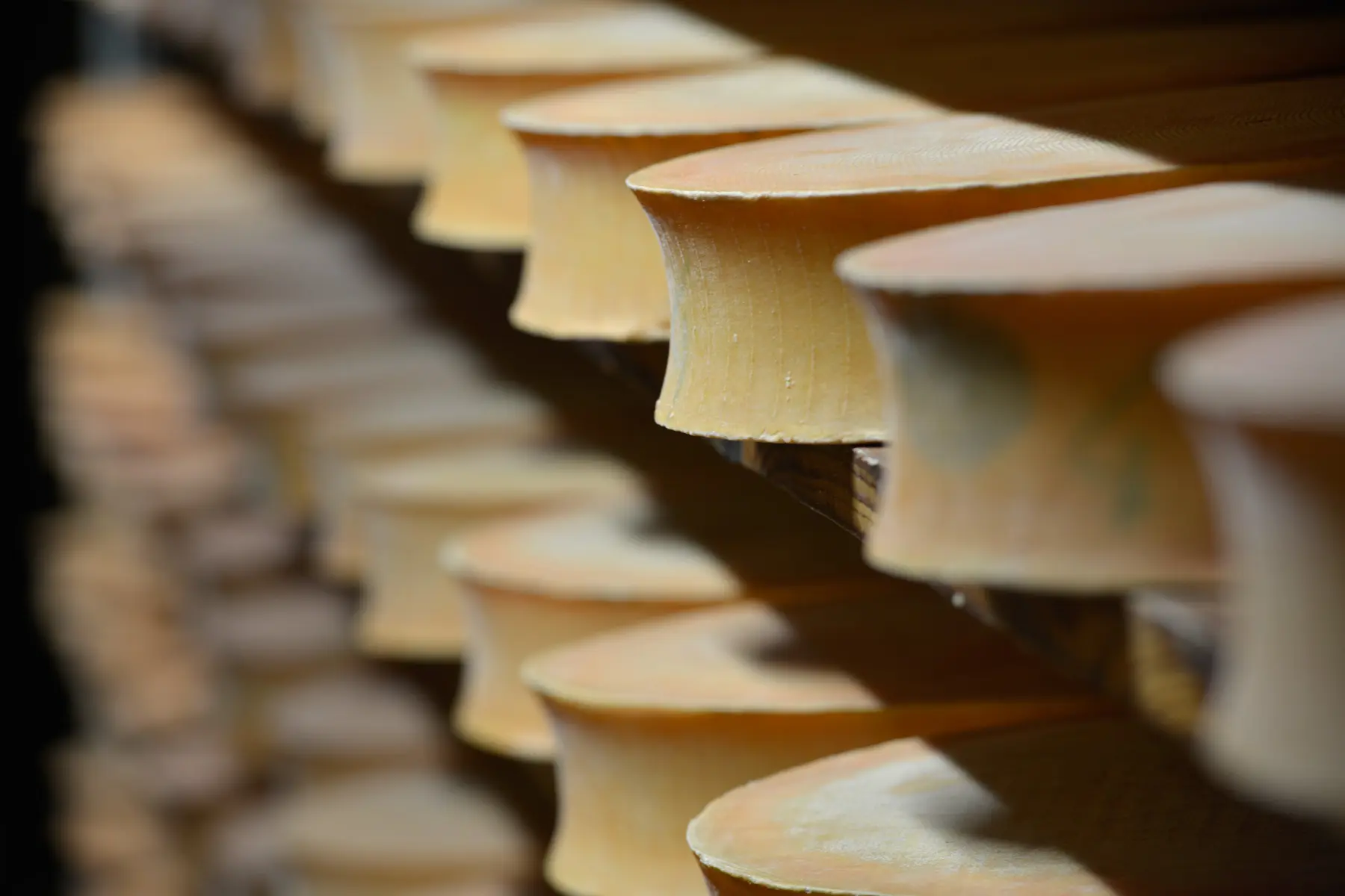 Fromage Abondance AOP en cours d'affinage