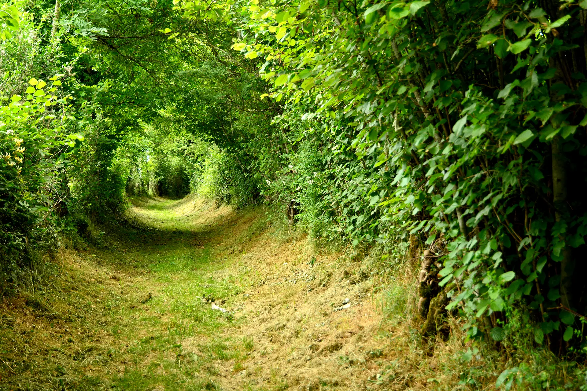 Superbe chemin