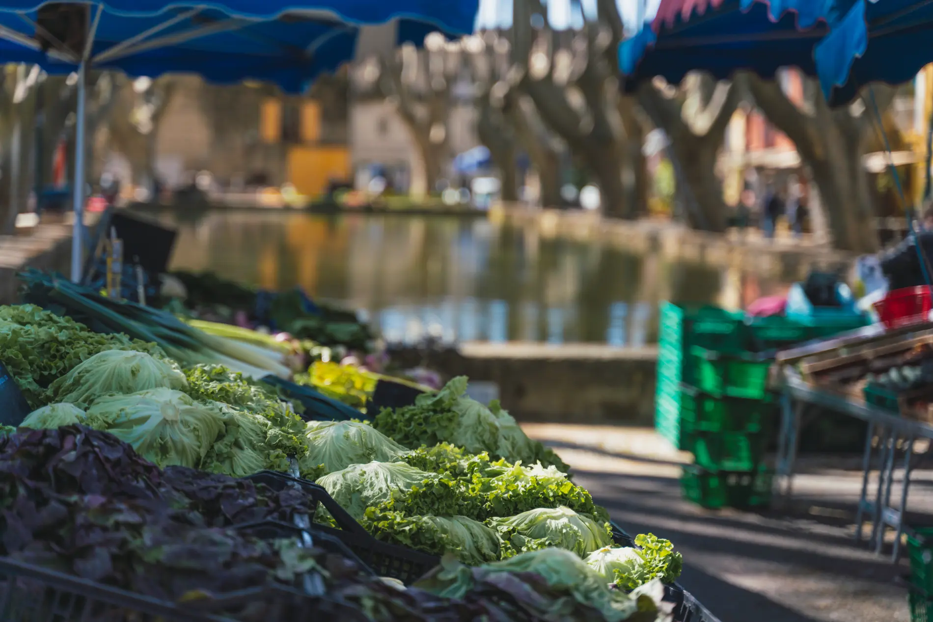 Marché de Cucuron