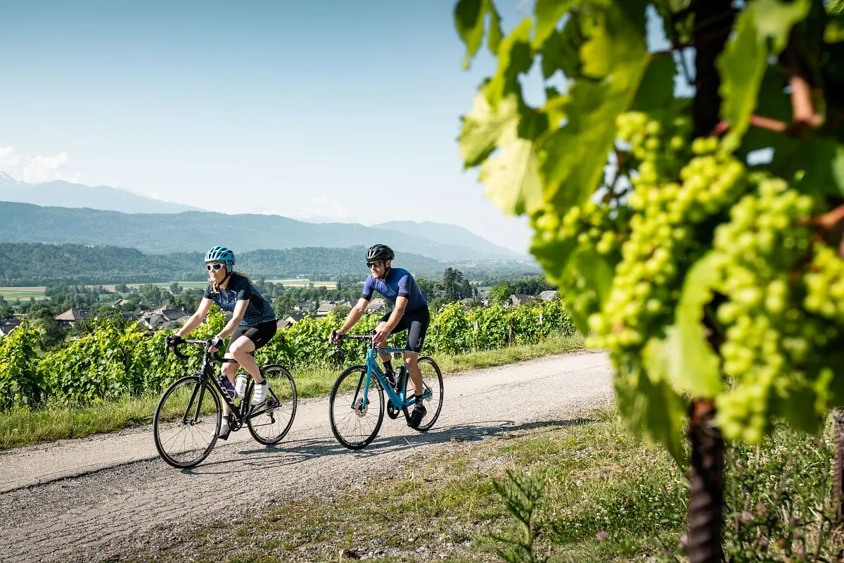 velo dans le vignoble