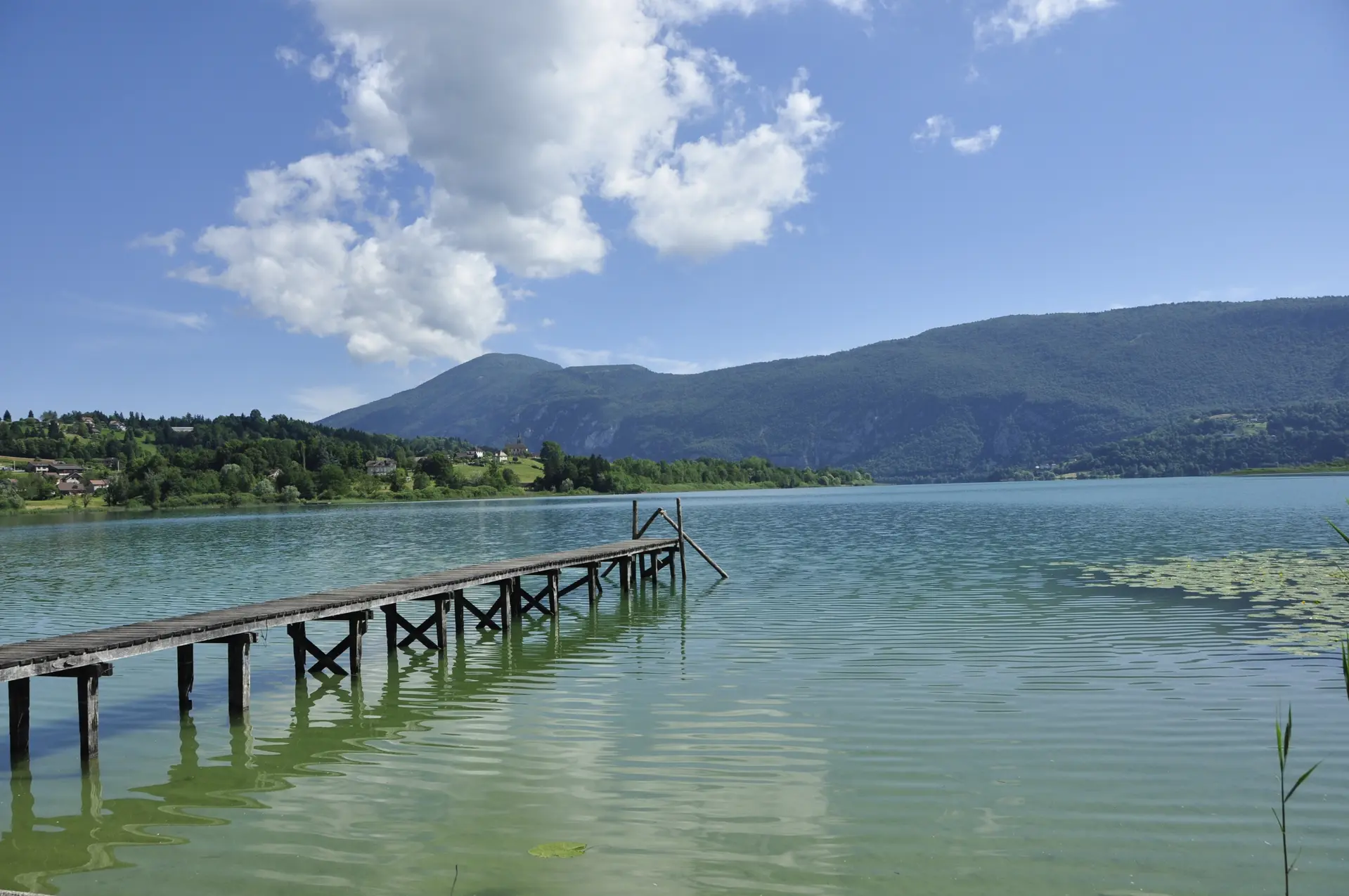 photo-prestataire