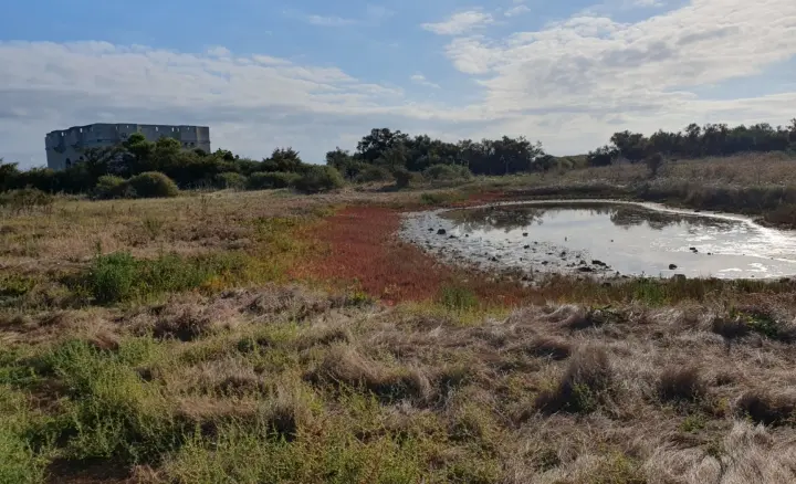Découvrez la pointe du Grouin avec les écogardes_Loix