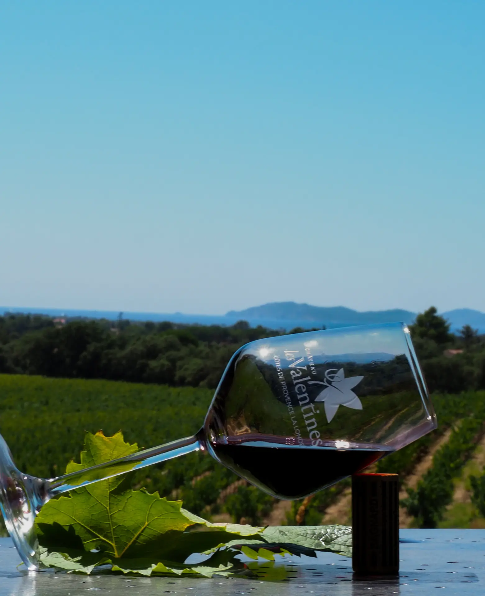 Verre de dégustation Château Les Valentines