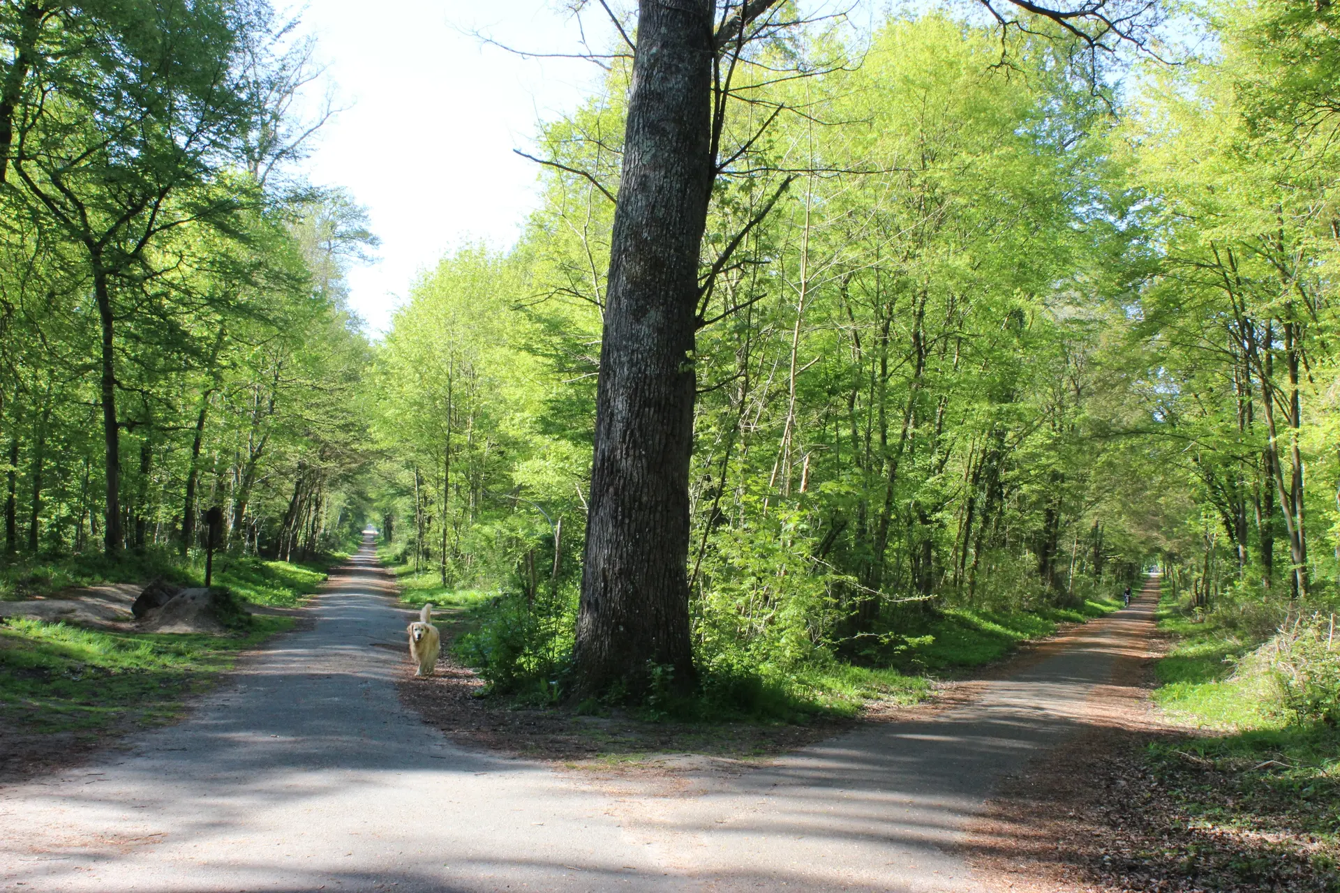 Etape 7 - Etoile d'Actéon