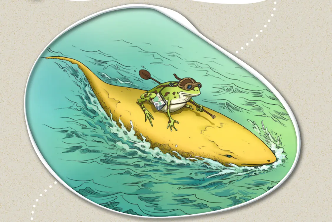 Grenouille aventurière sur un poisson paddle