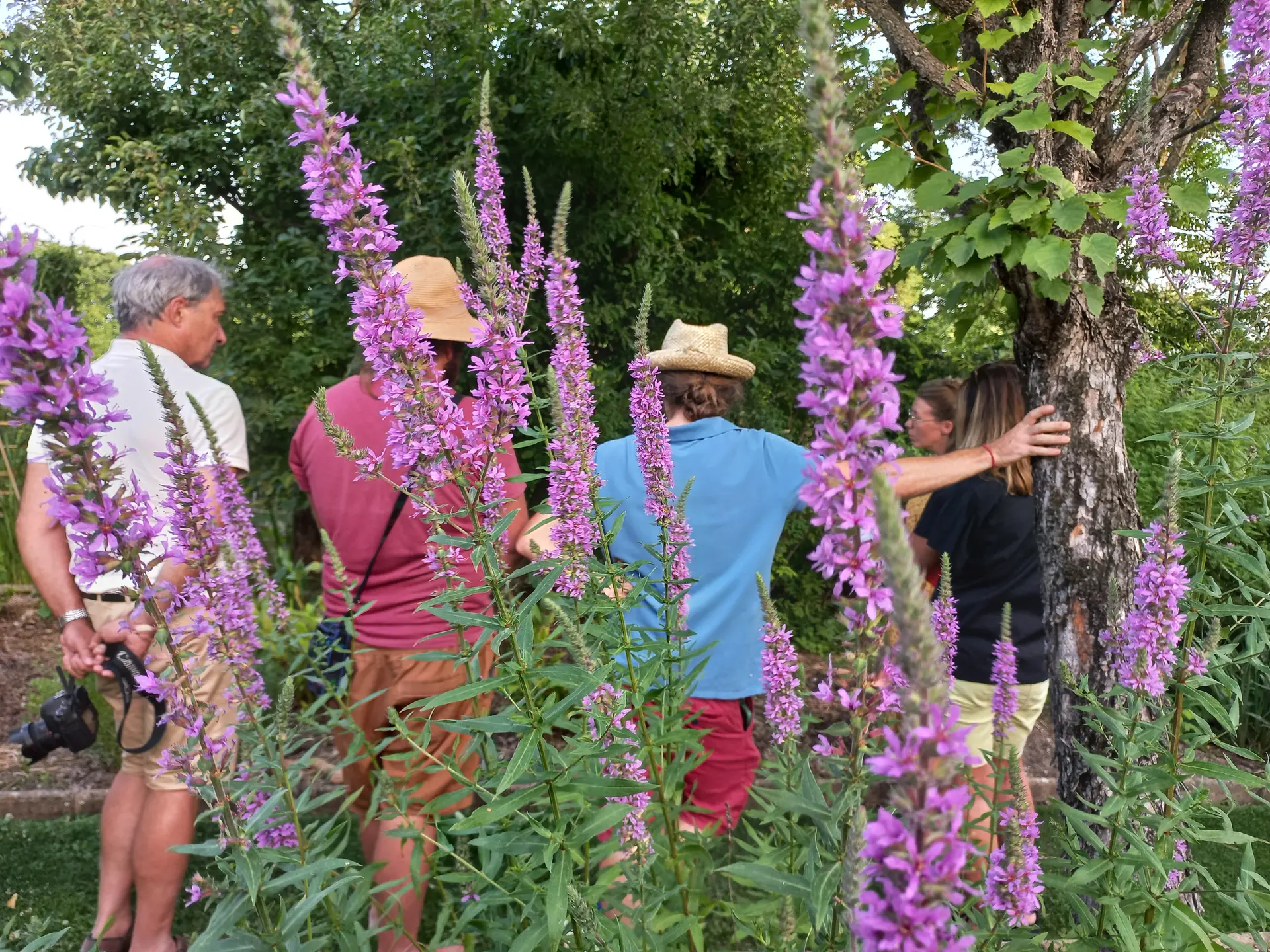 visites des jardins