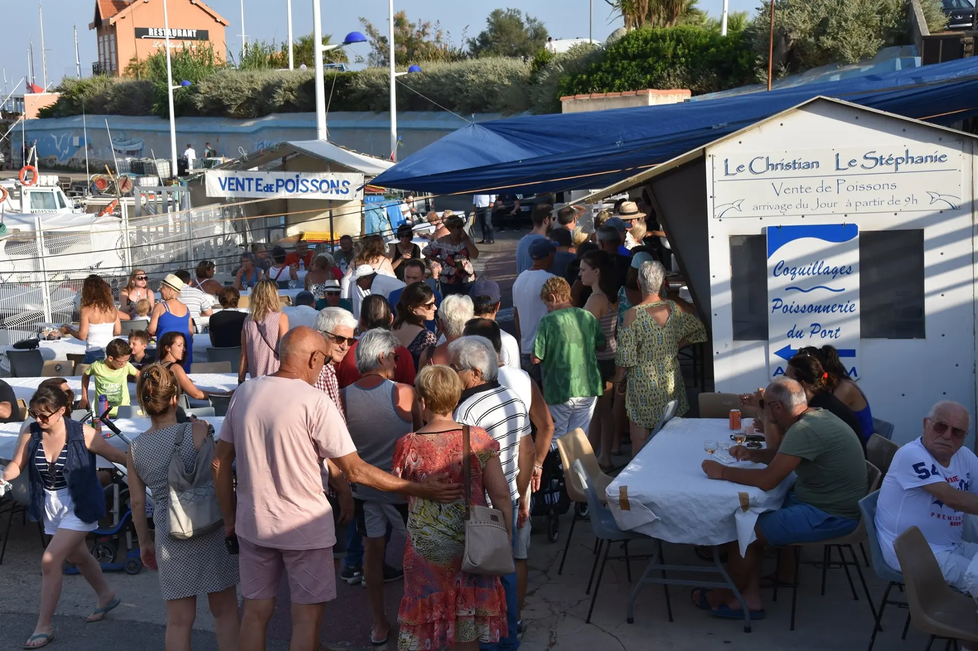 sardinades