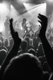 Les Negresses Vertes