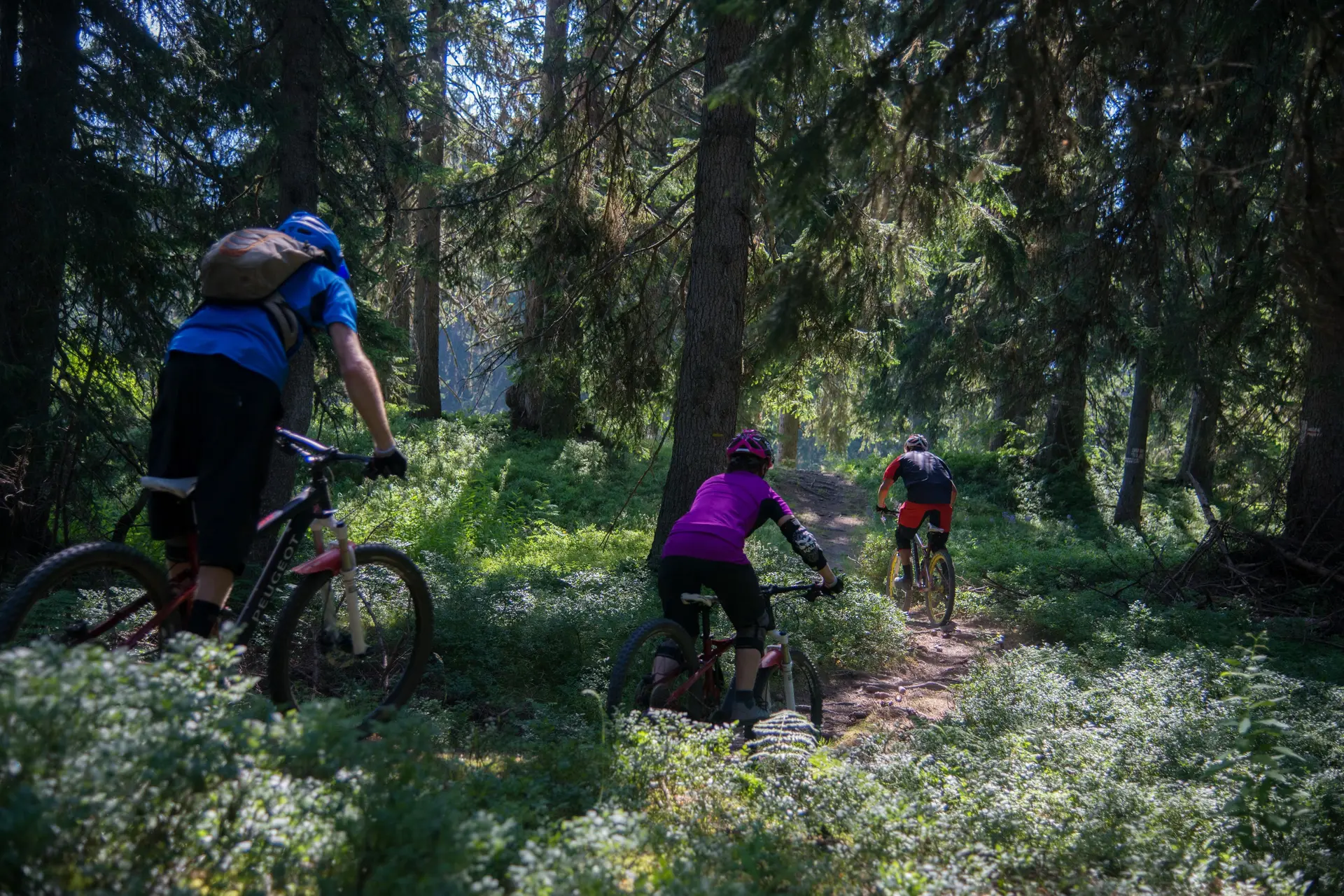 Enduro en Beaufortain : l'Adret'Naline