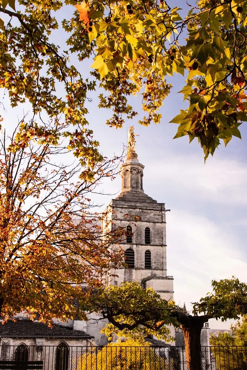 Clocher Notre-Dame des Doms