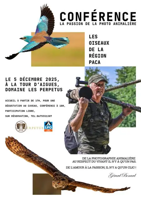 Conférence sur la Photo Animalière à La Tour d'Aigues_La Tour-d'Aigues