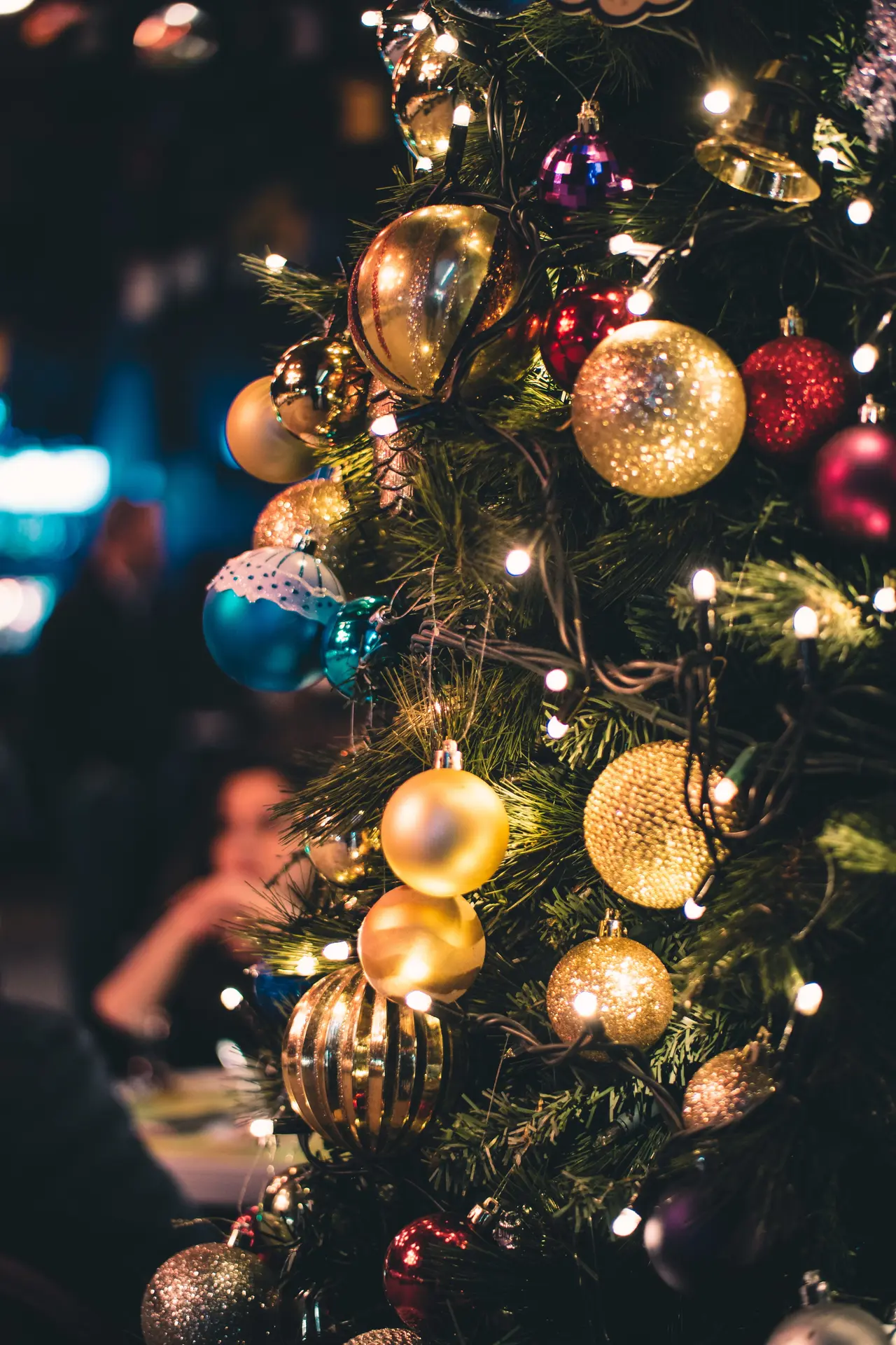 Illumination du sapin de Noël_Minzier