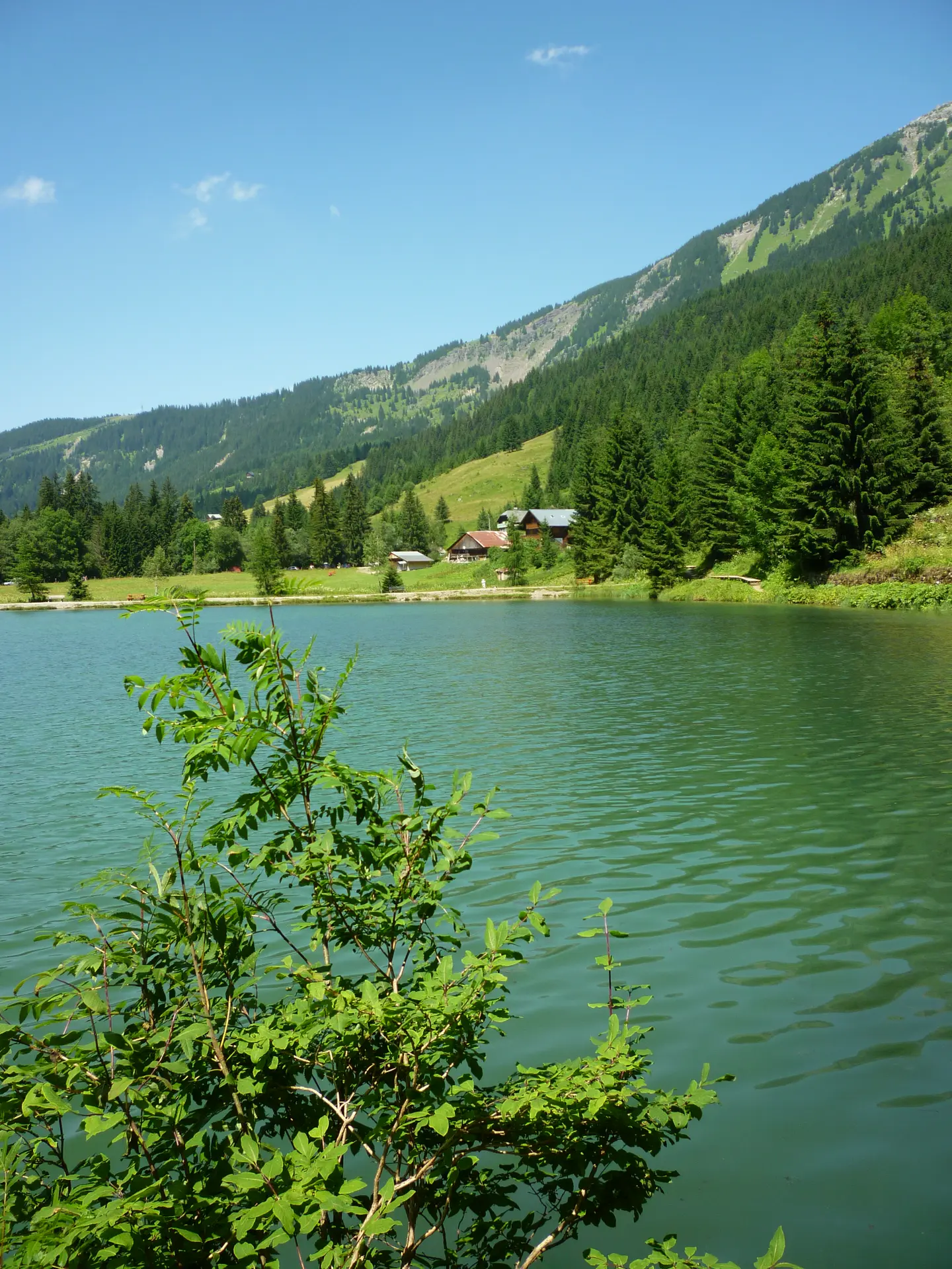 Hiking tour of the lake