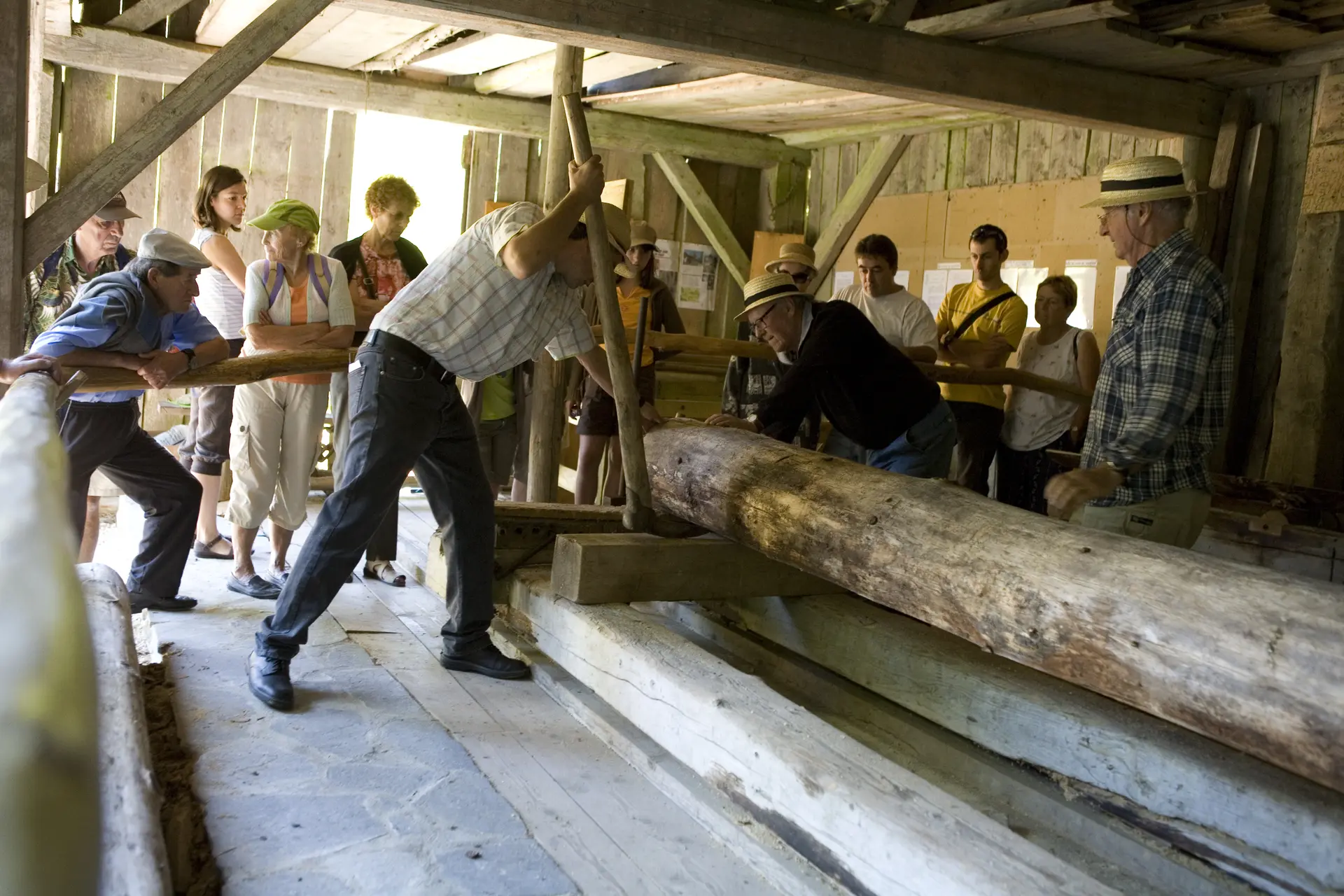 Coupe de bois