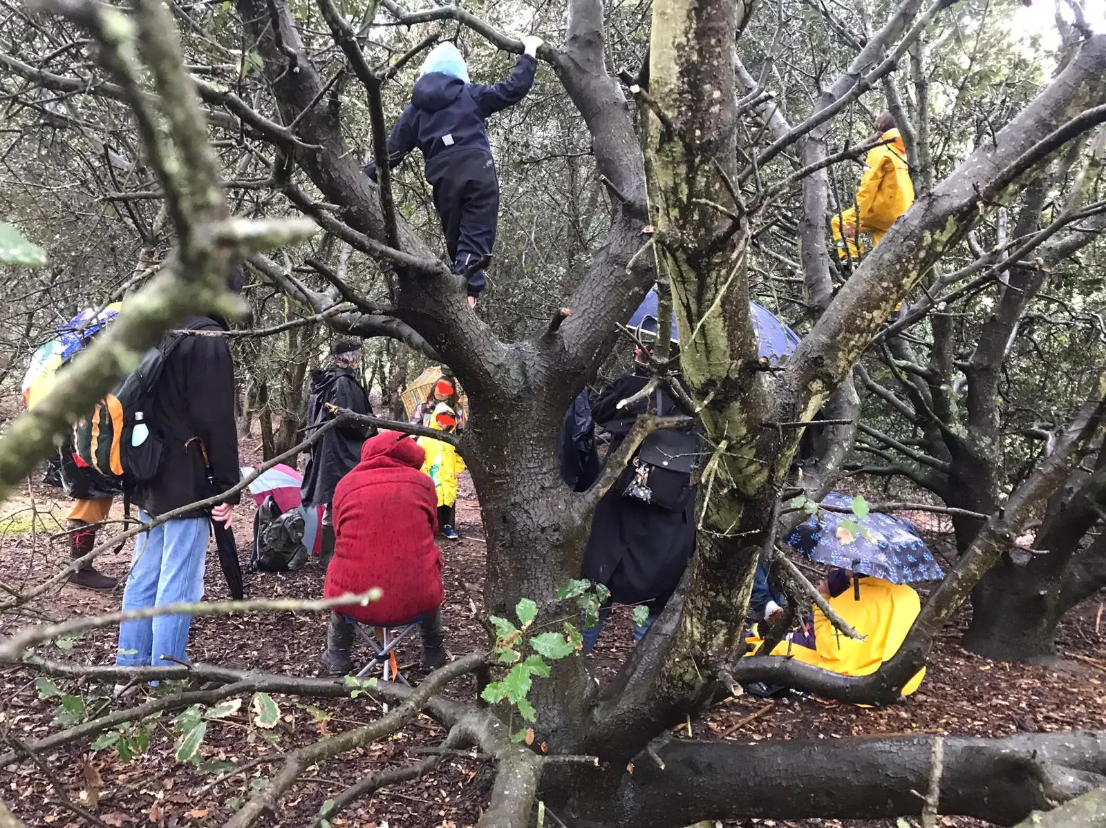 LA FILEUSE D'ORTIE - balade contée